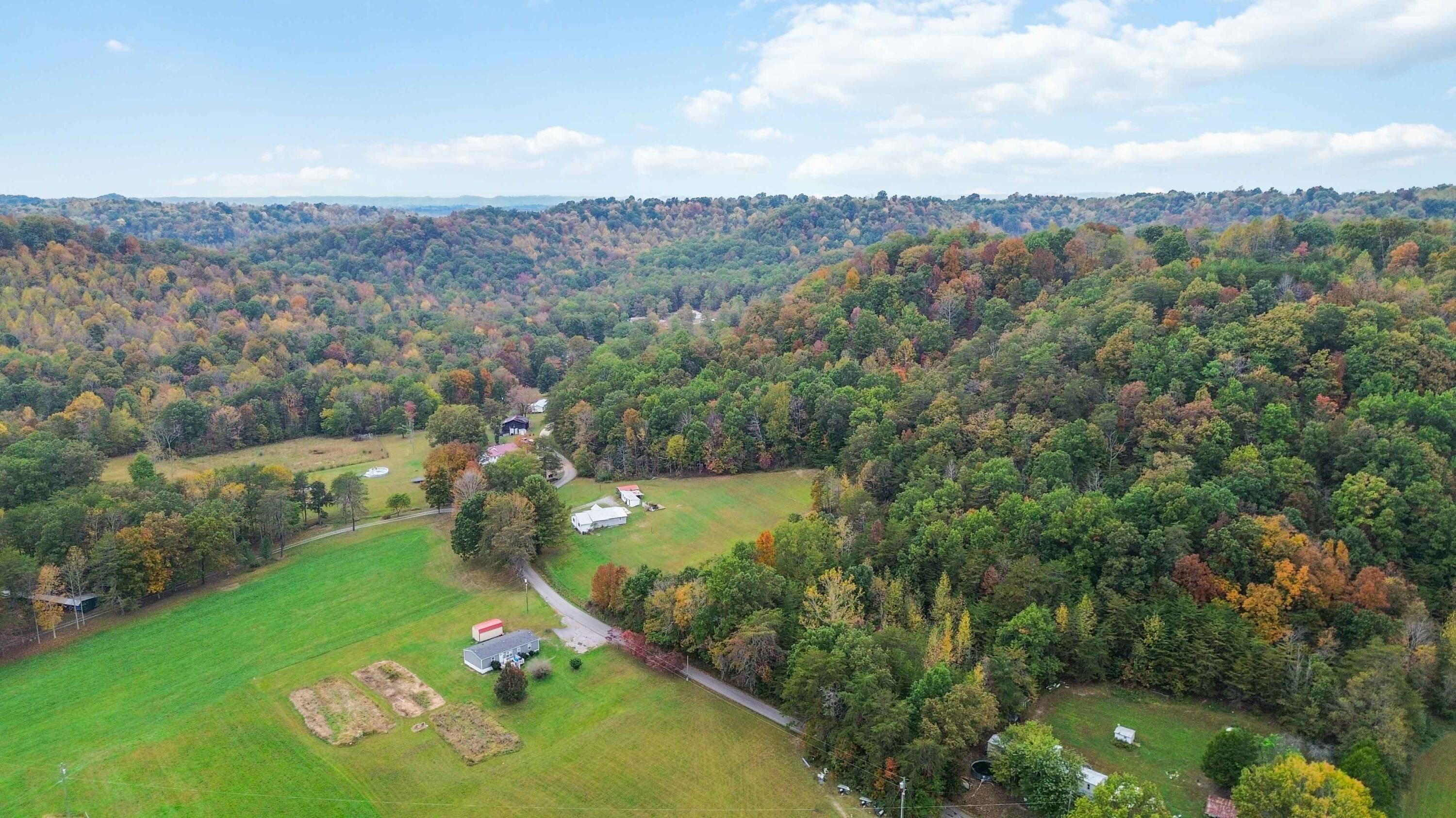 200 Brown Hollow Road Property Photo 6