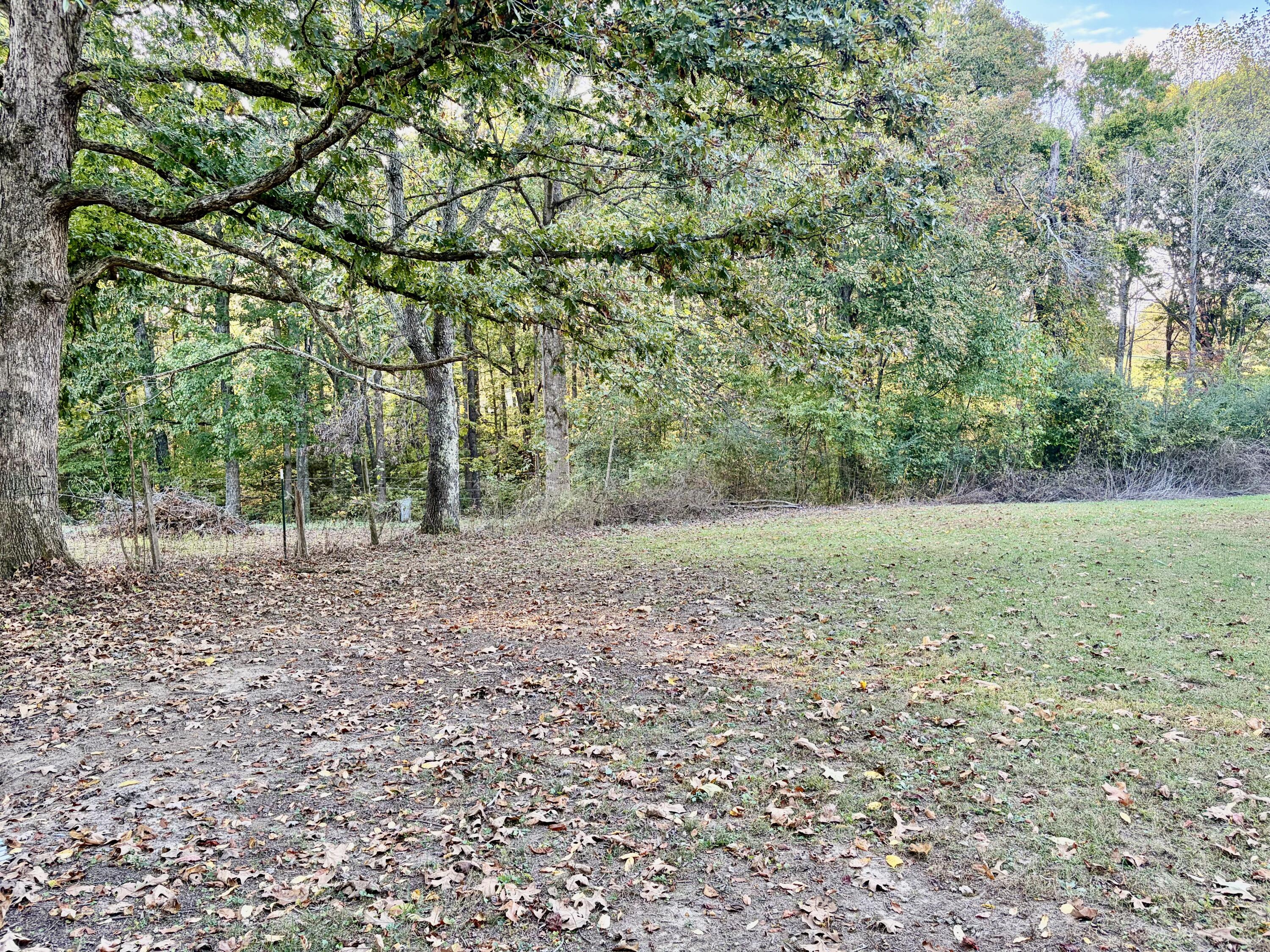 3300 Highway 2792 Property Photo 41