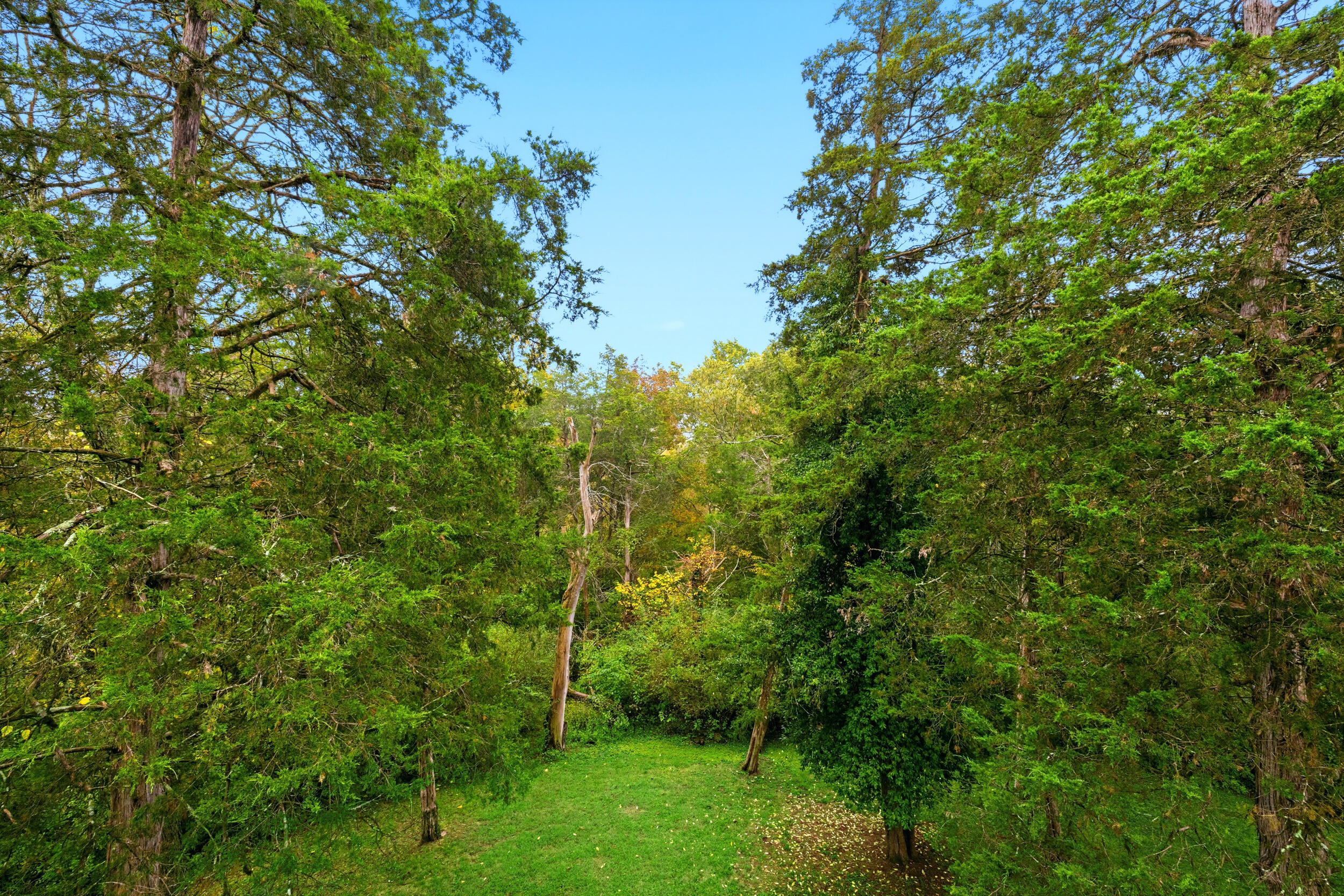 100 Fox Run Road Property Photo 58
