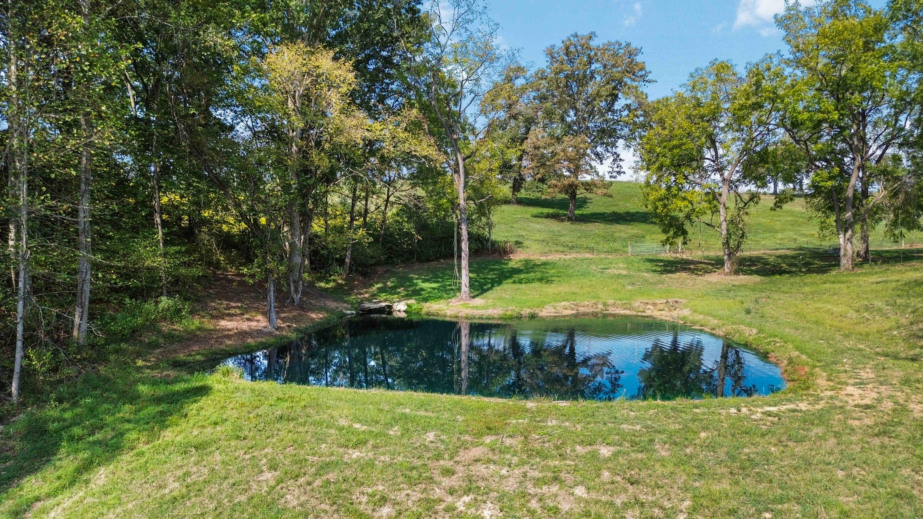 465 Newell Road Property Photo 16