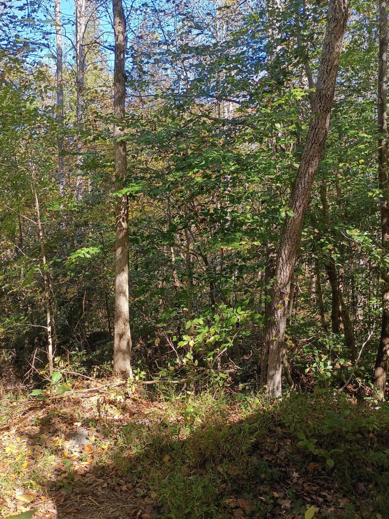 1756 Kentucky 904 Property Photo 18