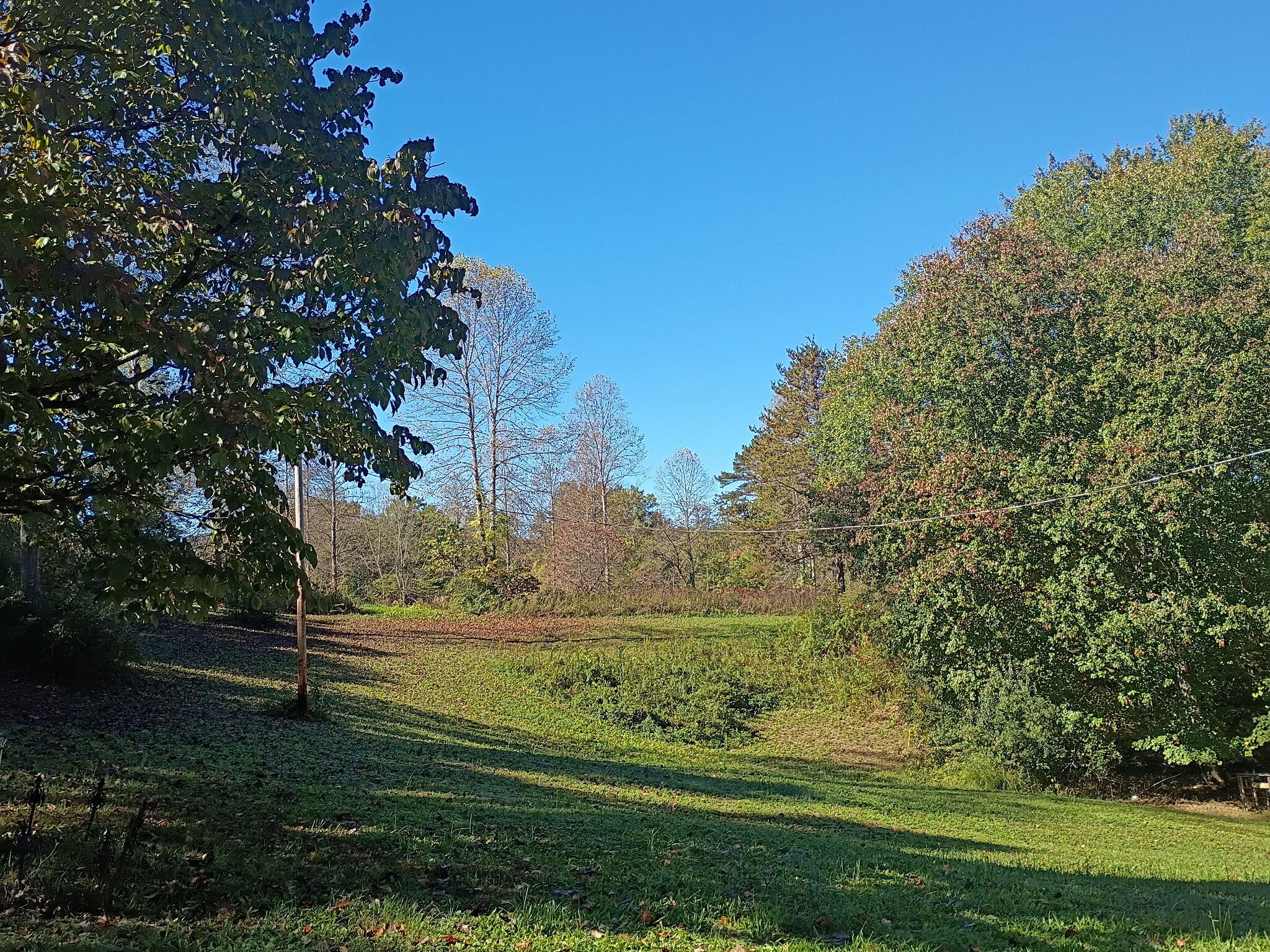 1756 Kentucky 904 Property Photo 19