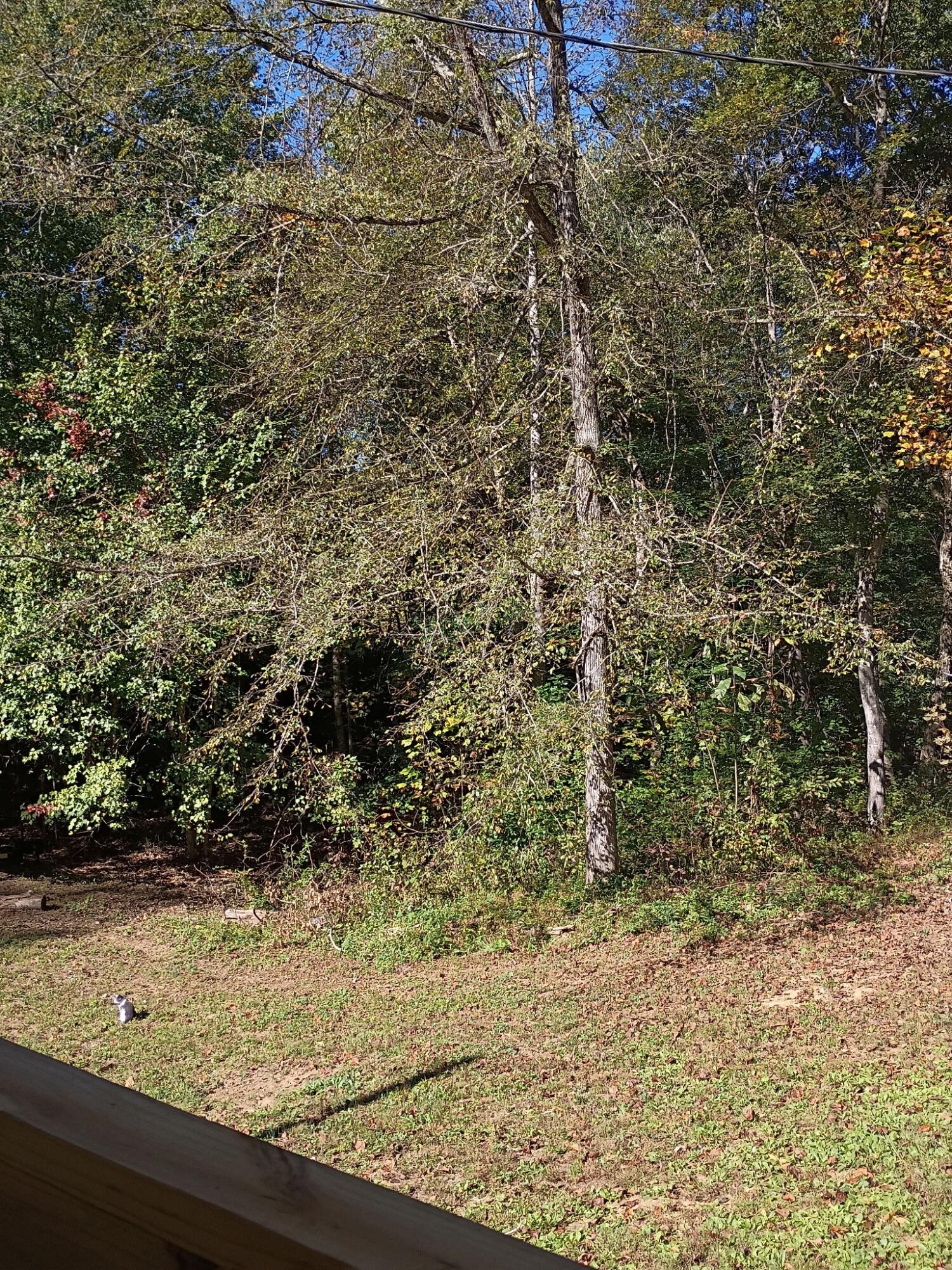 1756 Kentucky 904 Property Photo 21