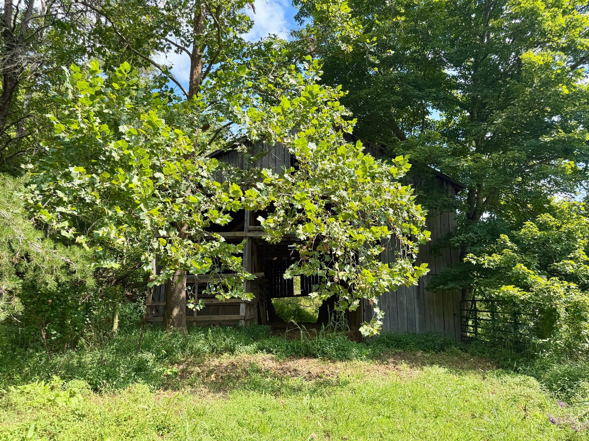 2514 Kellacey Road Property Photo 9