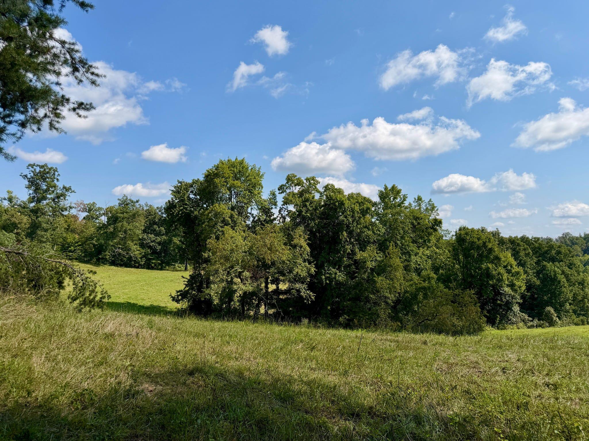 2514 Kellacey Road Property Photo 20