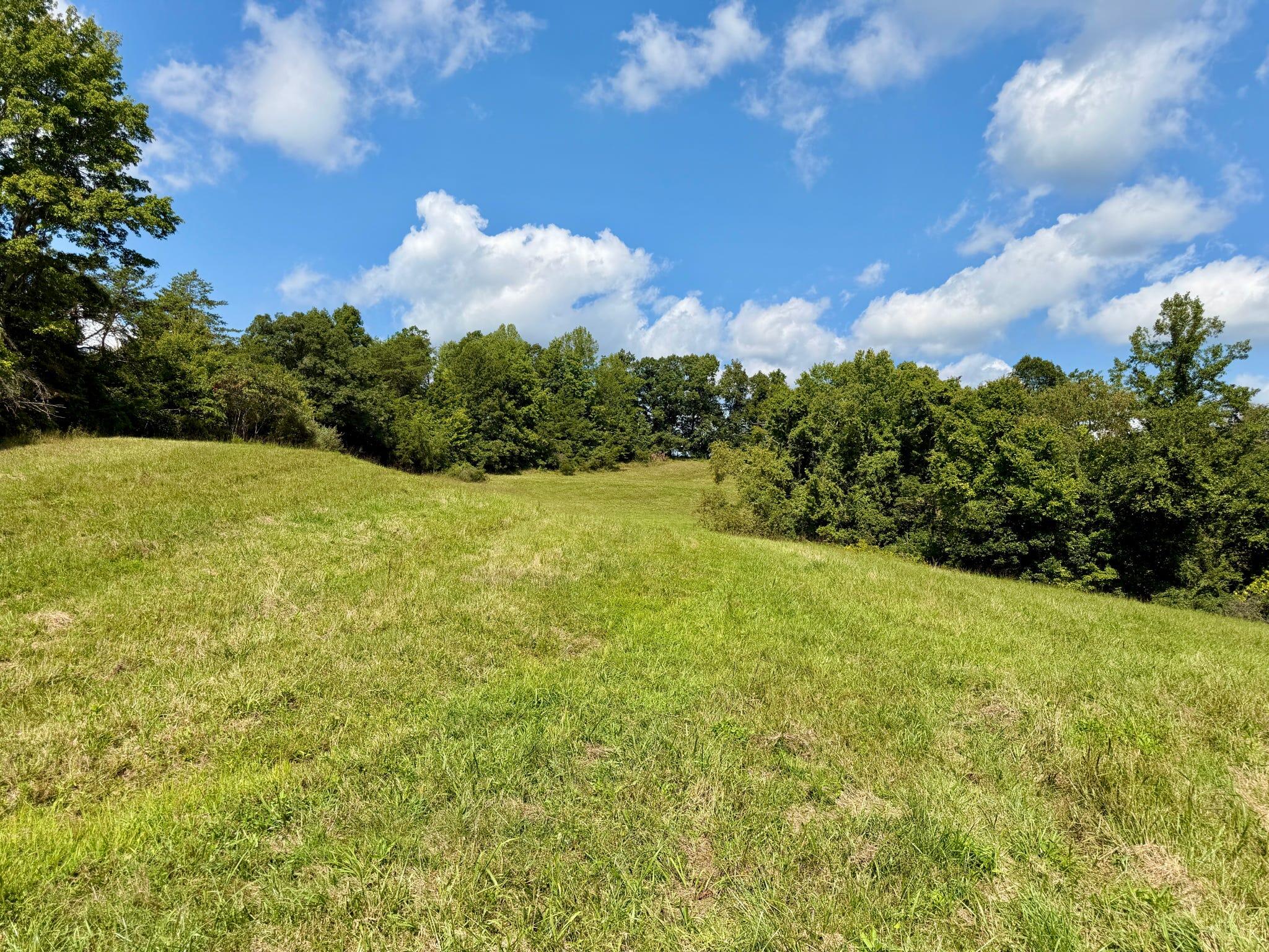 2514 Kellacey Road Property Photo 21