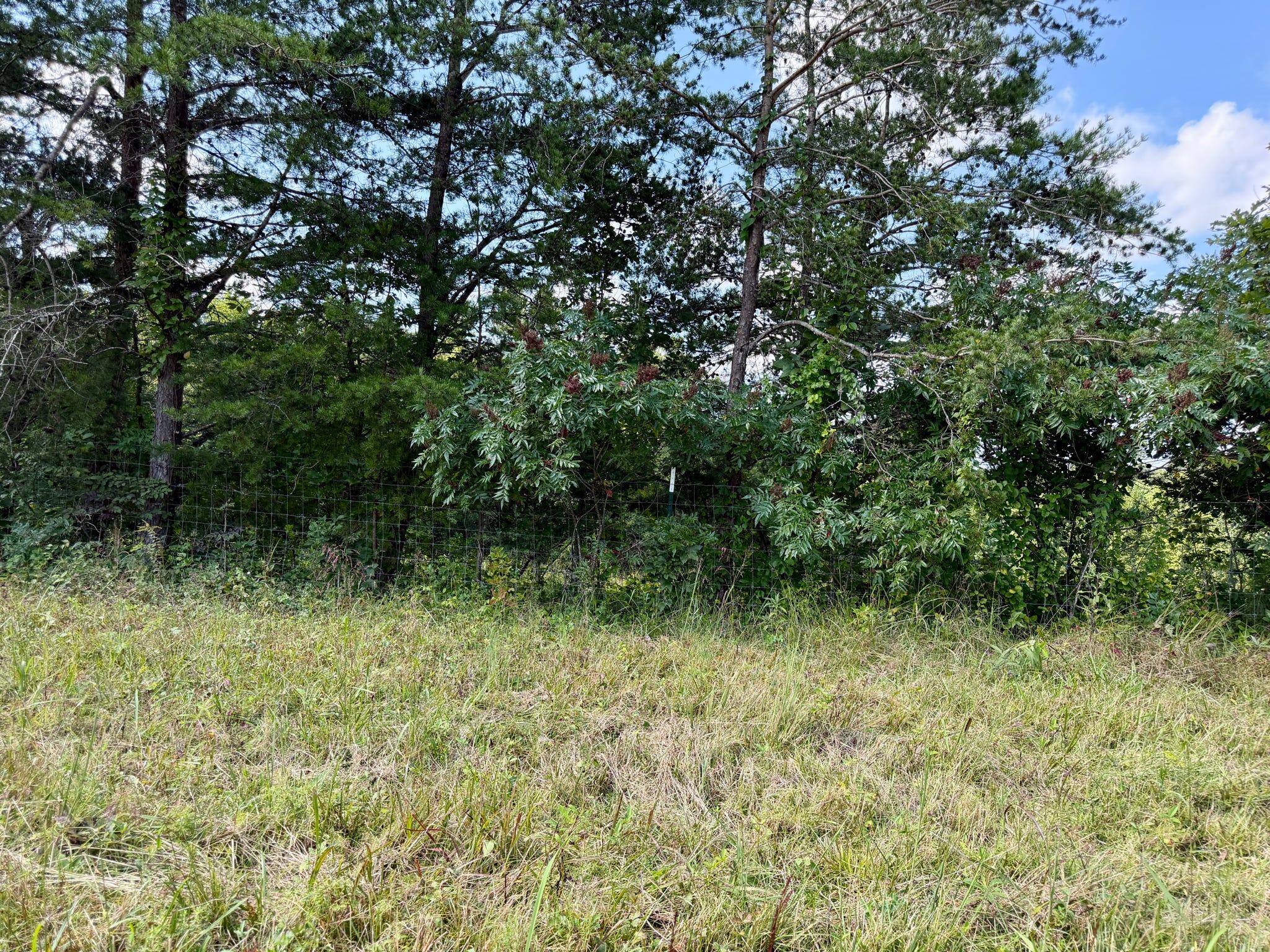 2514 Kellacey Road Property Photo 26