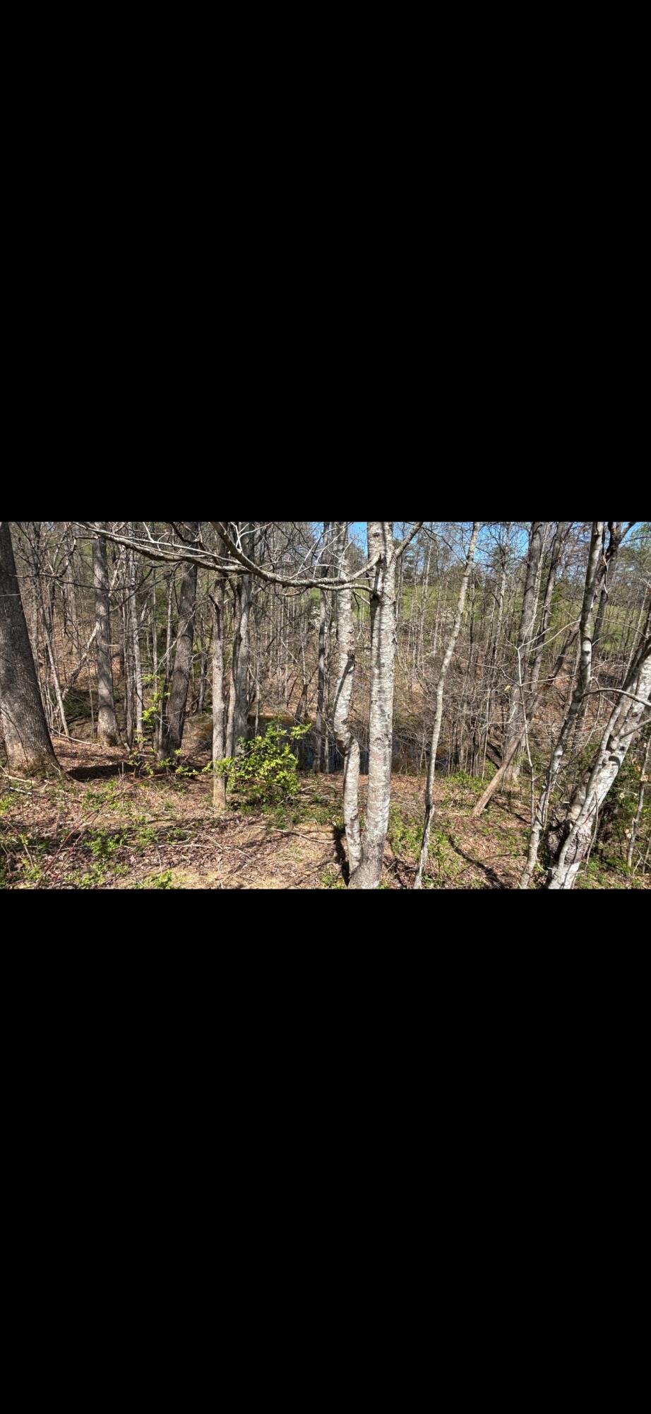 2514 Kellacey Road Property Photo 68