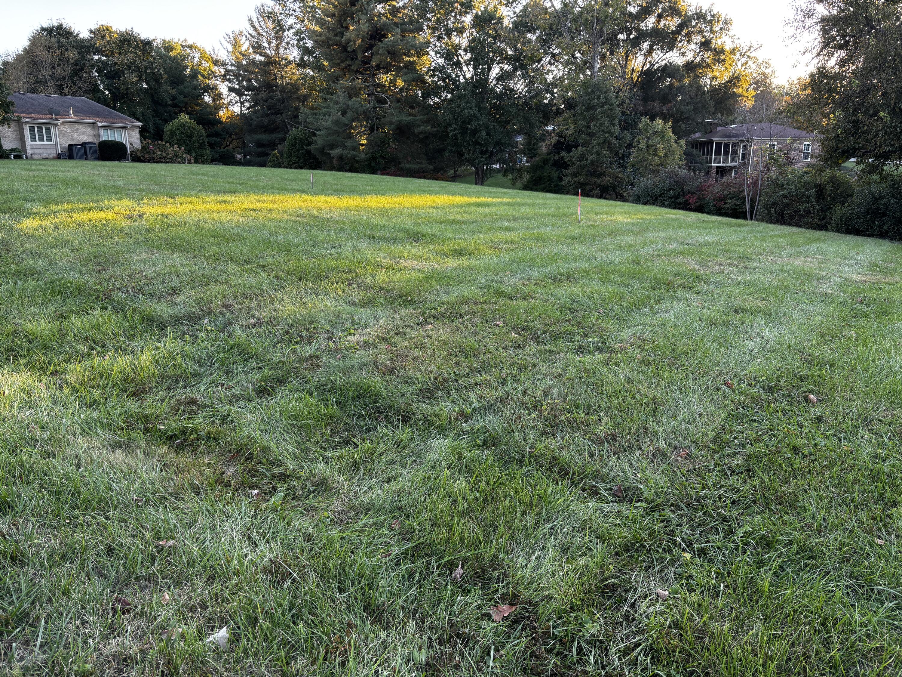 13 Whitebridge Lane Property Photo 1