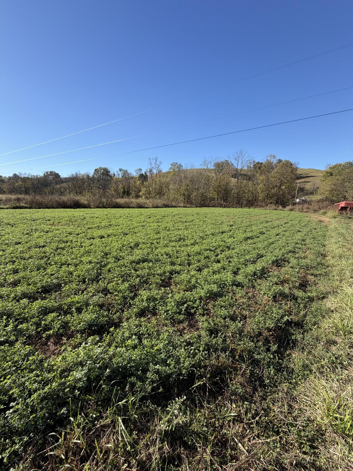 600 Watkins Lane Property Photo 41