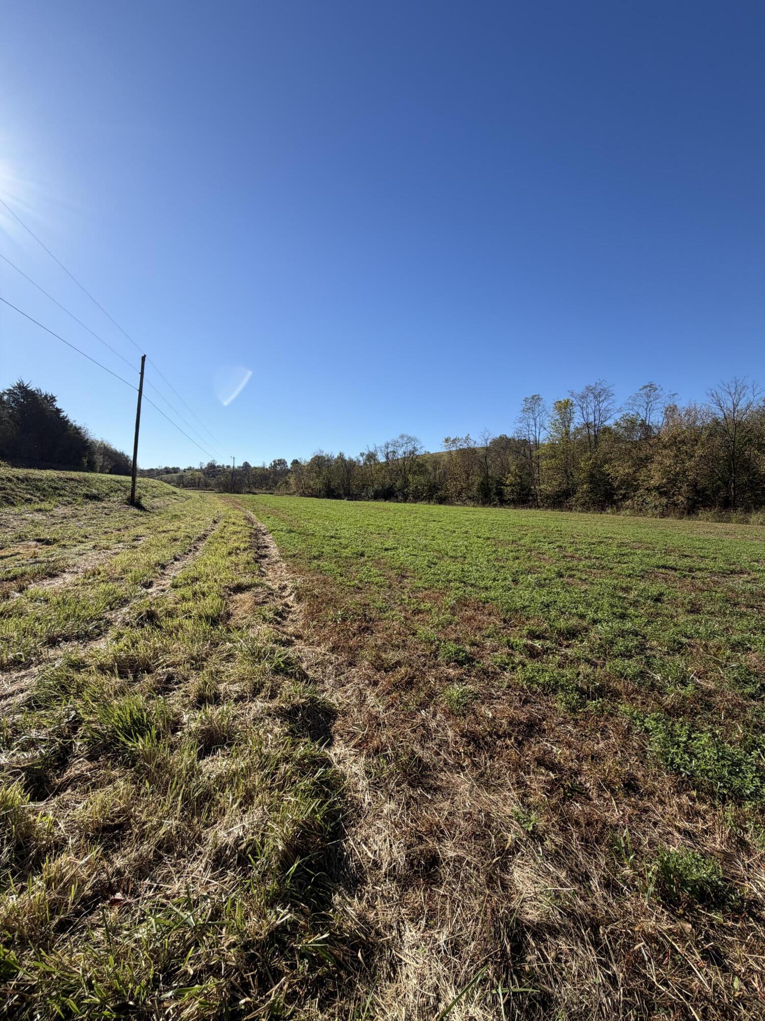 600 Watkins Lane Property Photo 42