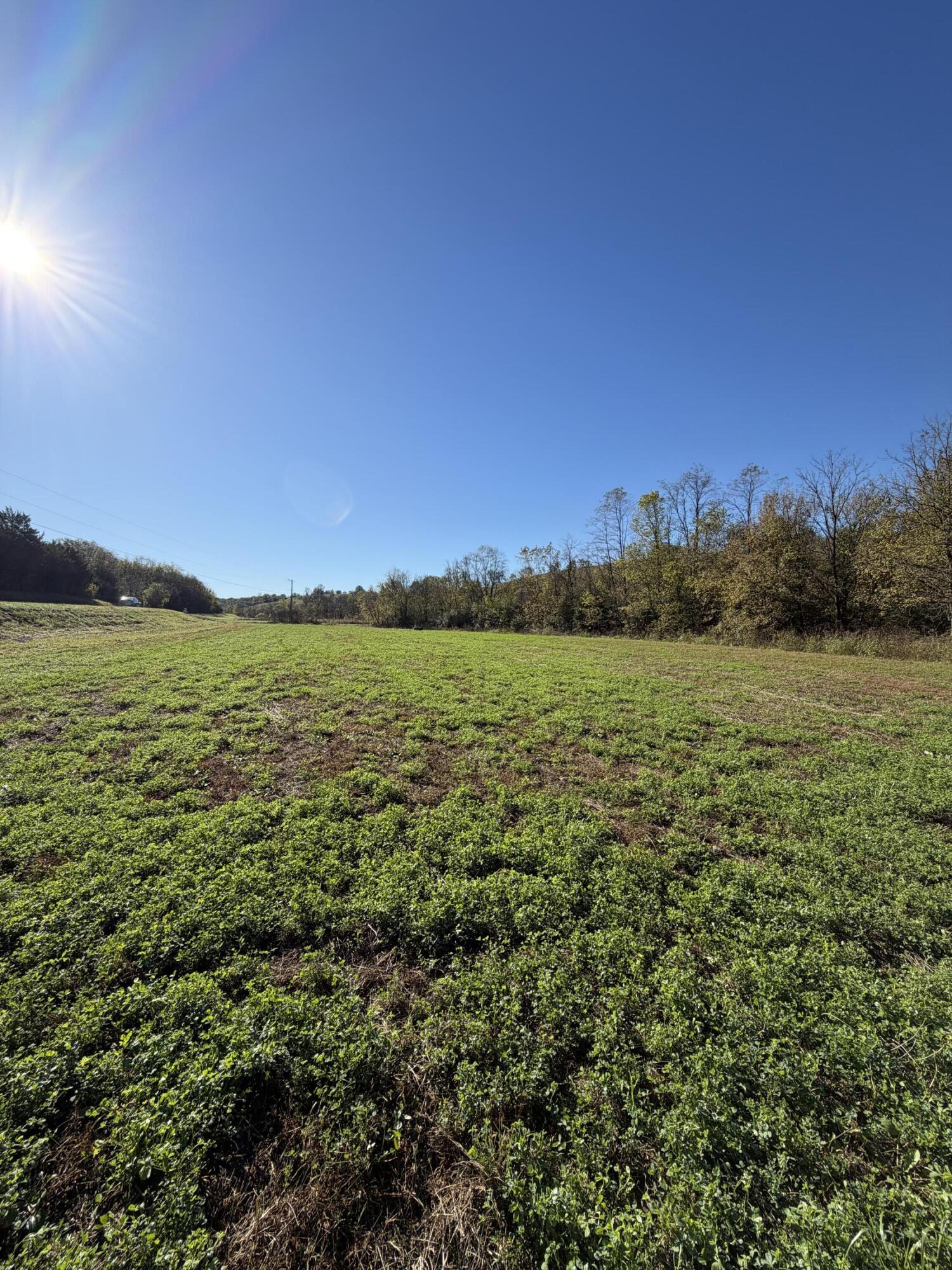 600 Watkins Lane Property Photo 43