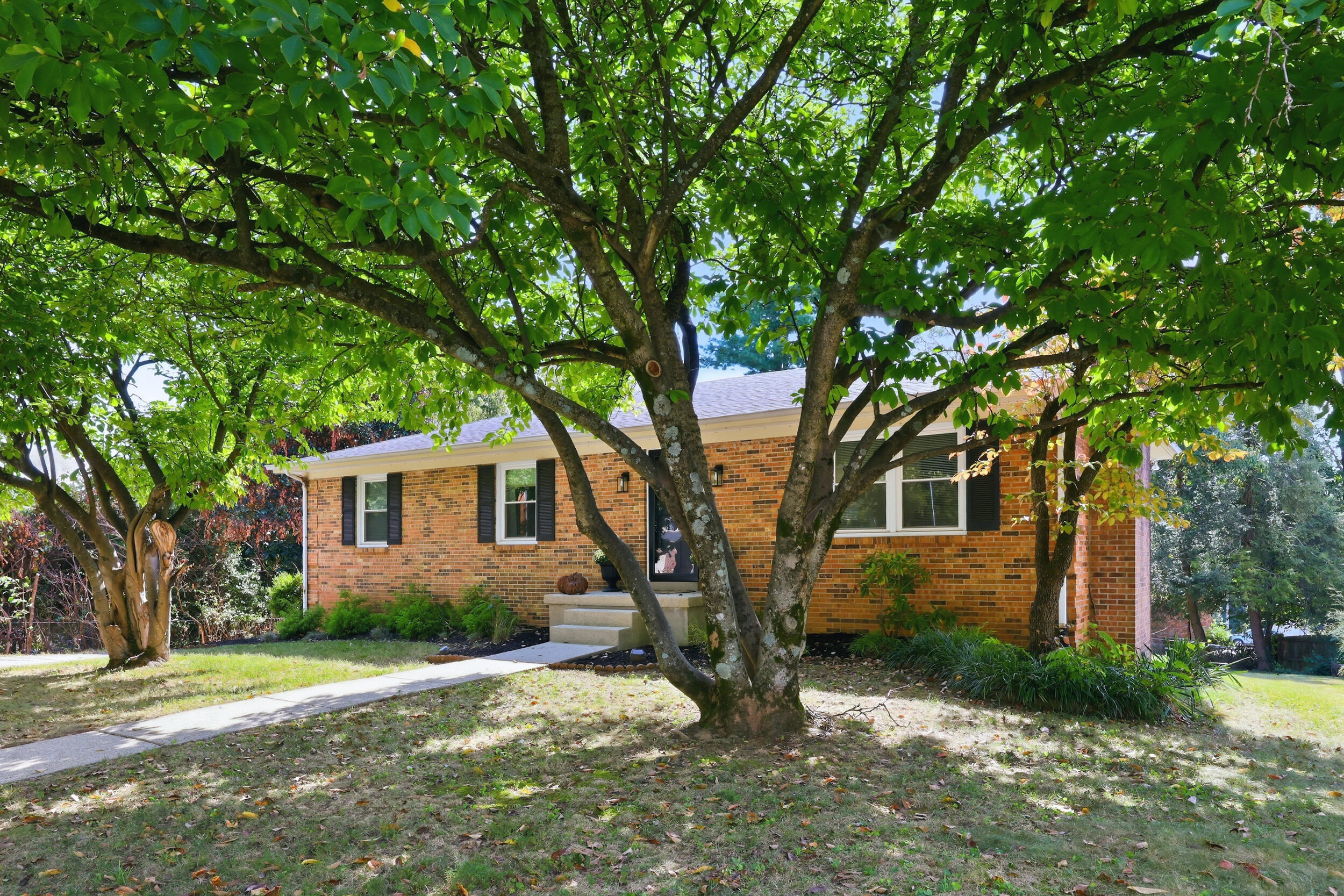 348 Whitfield Drive Property Photo 4