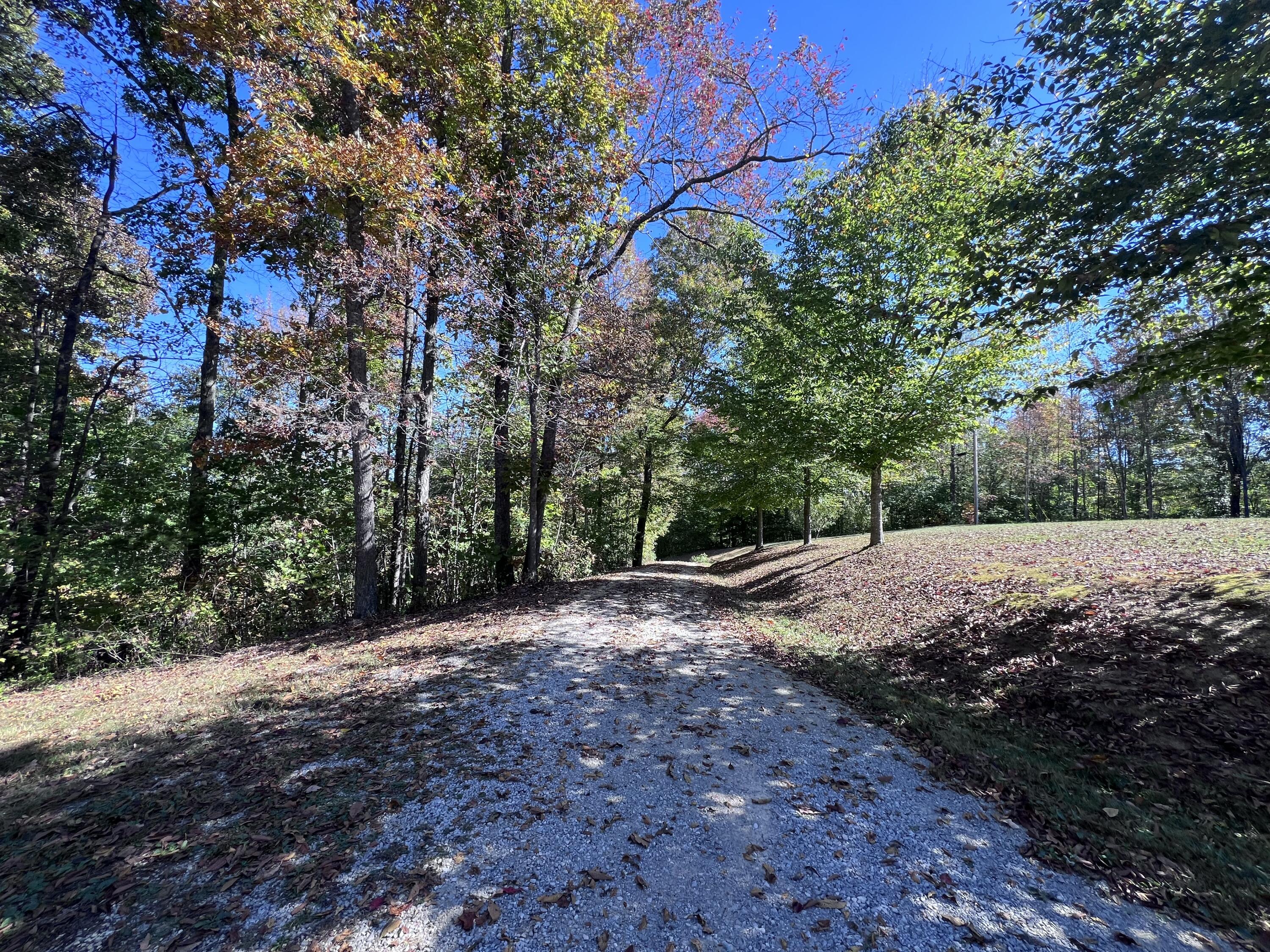 1179 Sasser Road Property Photo 5