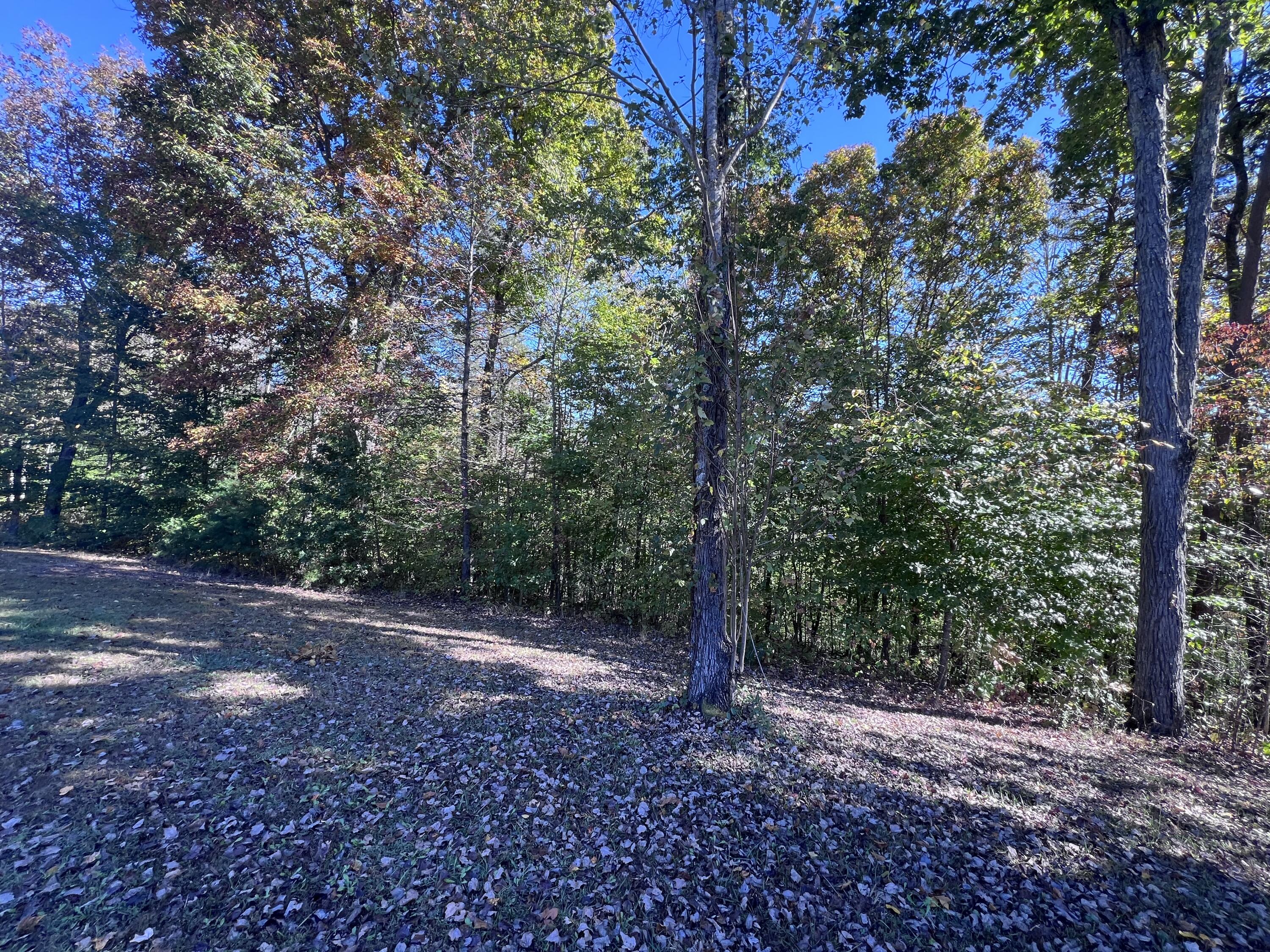 1179 Sasser Road Property Photo 6