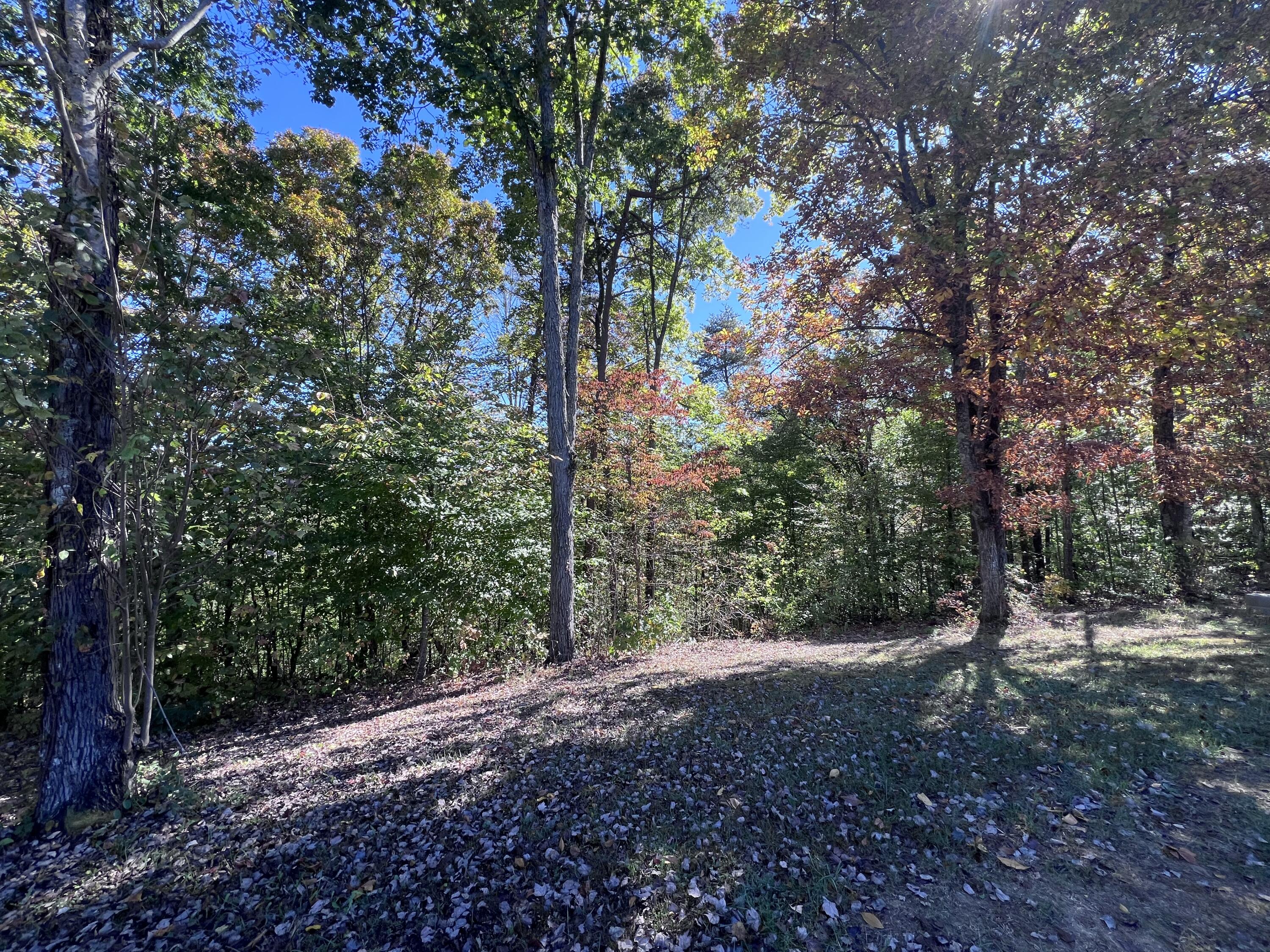 1179 Sasser Road Property Photo 8