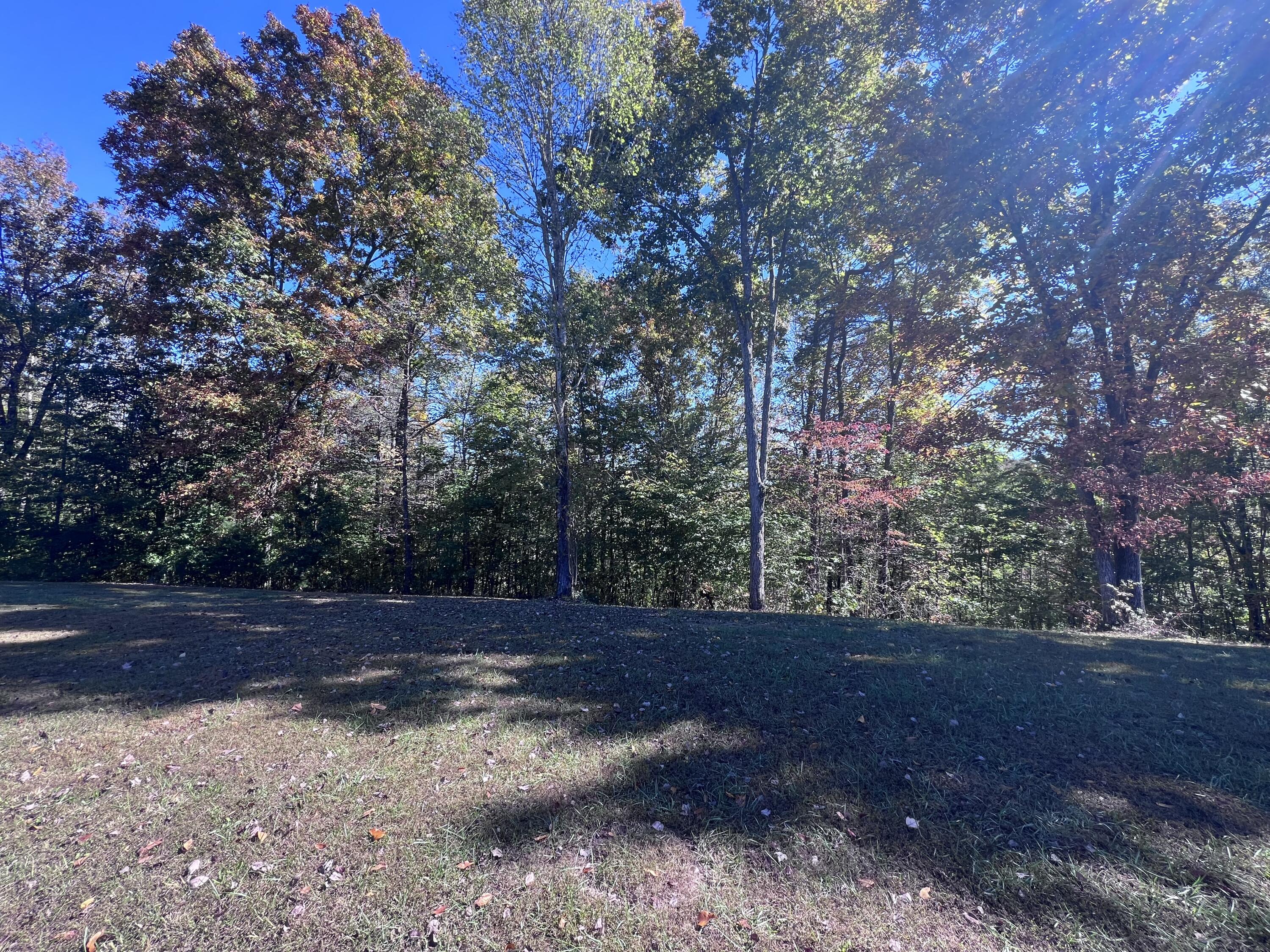 1179 Sasser Road Property Photo 9