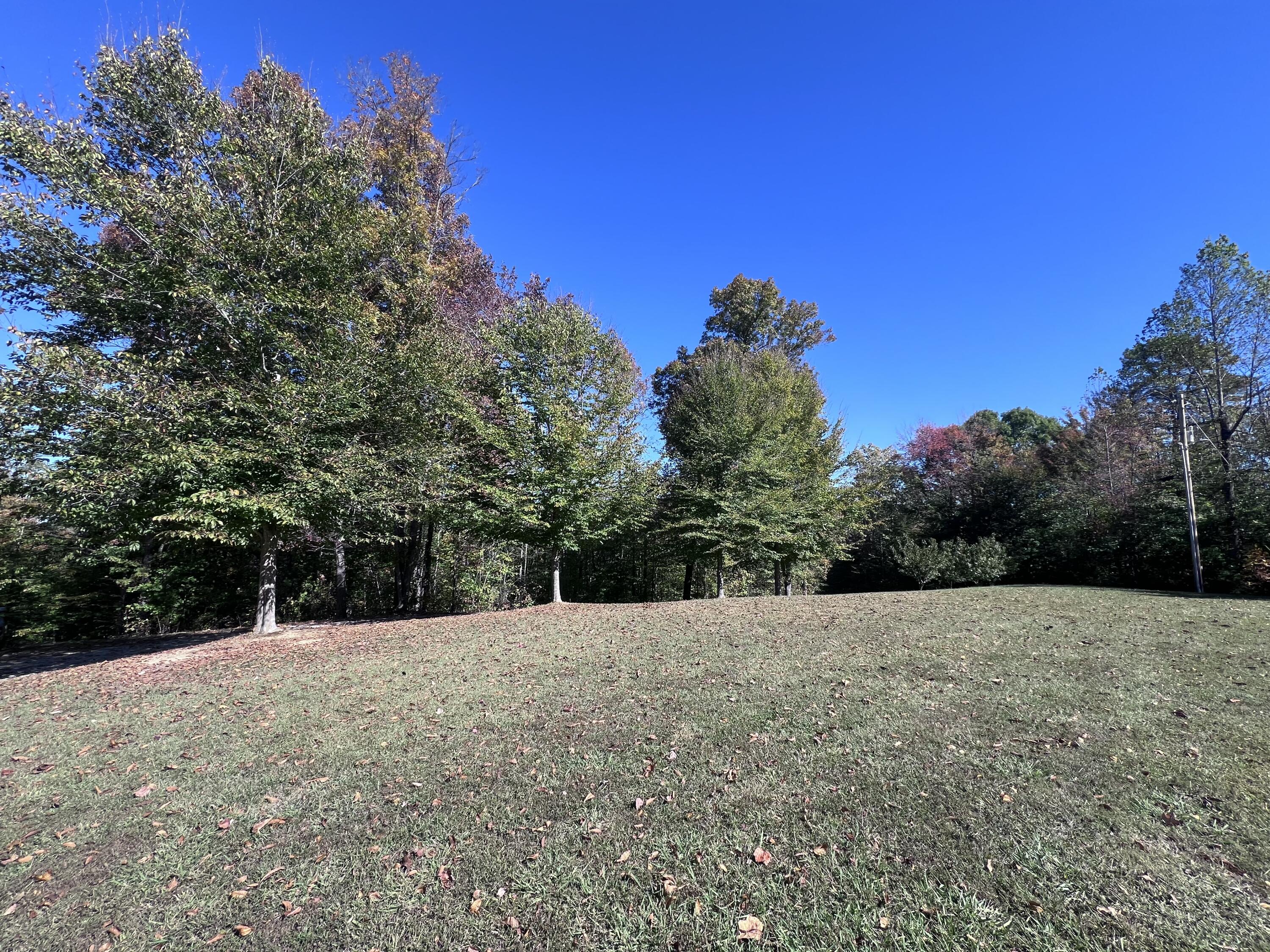 1179 Sasser Road Property Photo 10