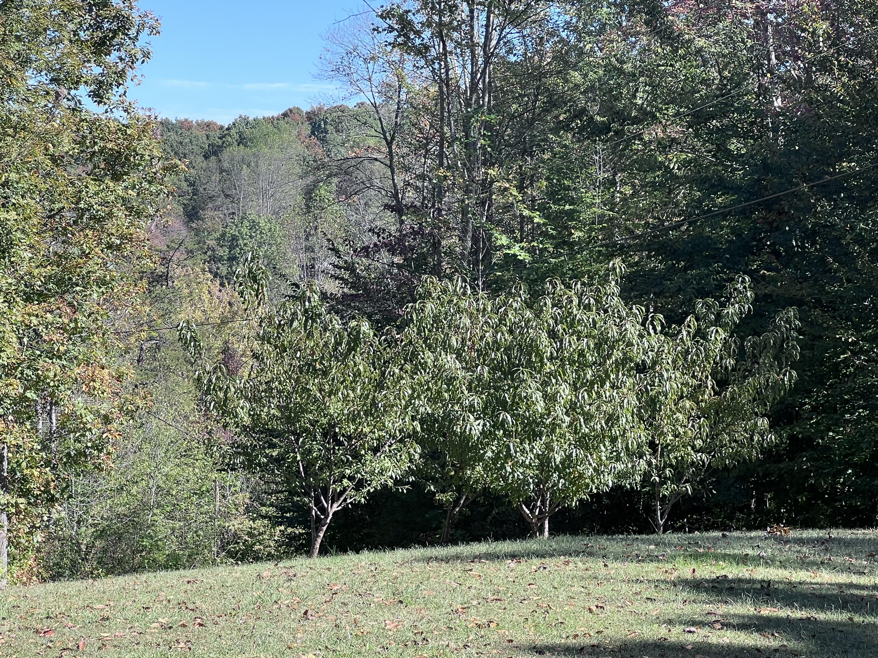 1179 Sasser Road Property Photo 11