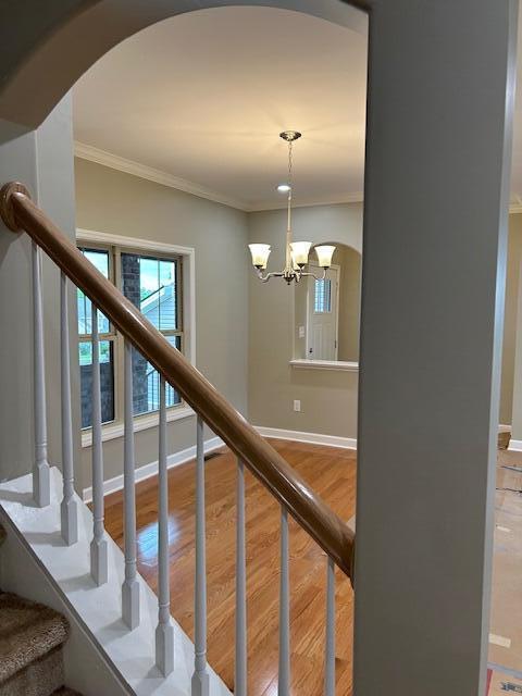 3324 Polo Club Boulevard Property Photo 19