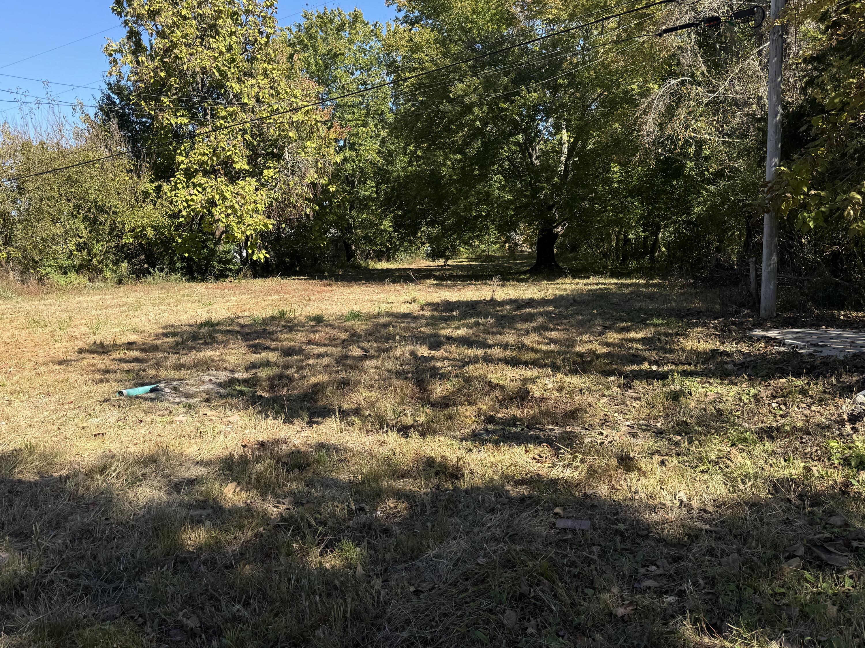 338 Short Line Pike Property Photo 4