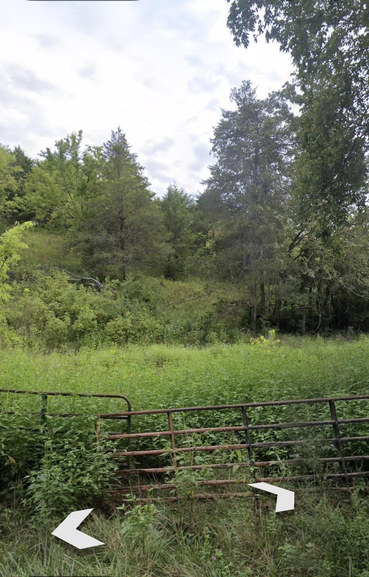 999 Three Lick Road Property Photo 2