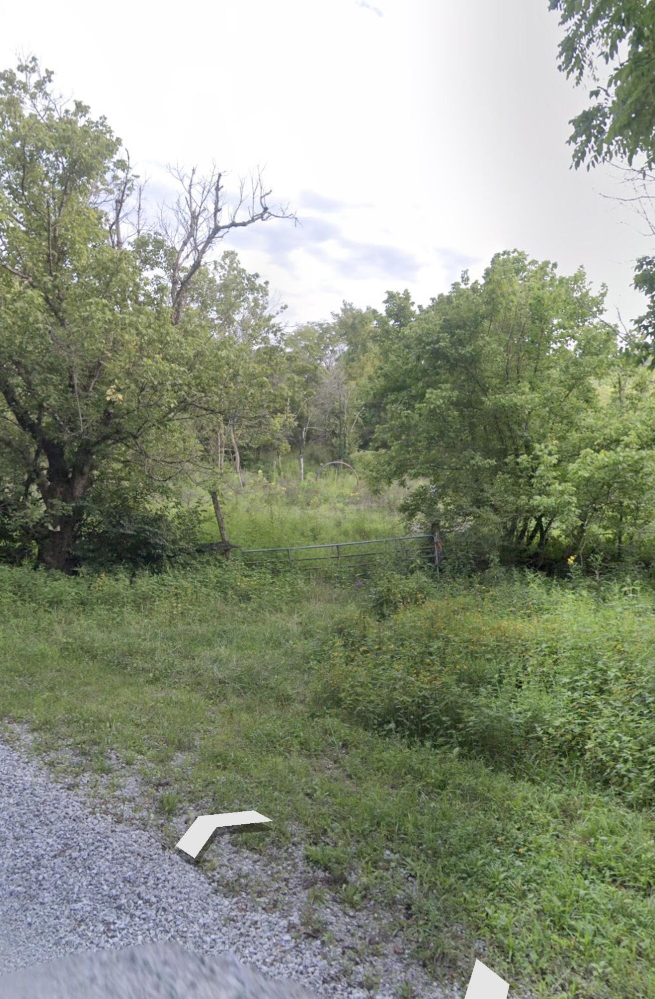999 Three Lick Road Property Photo 3