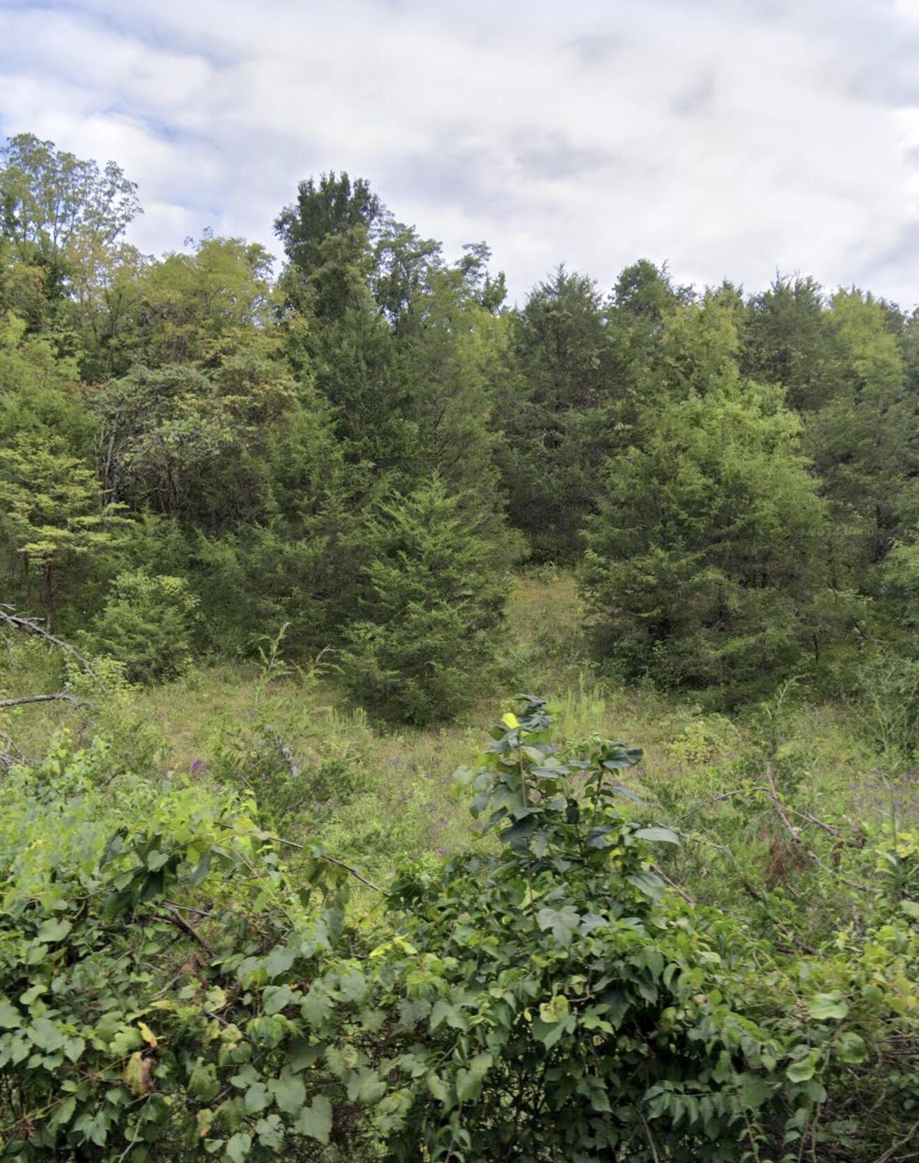 999 Three Lick Road Property Photo 5