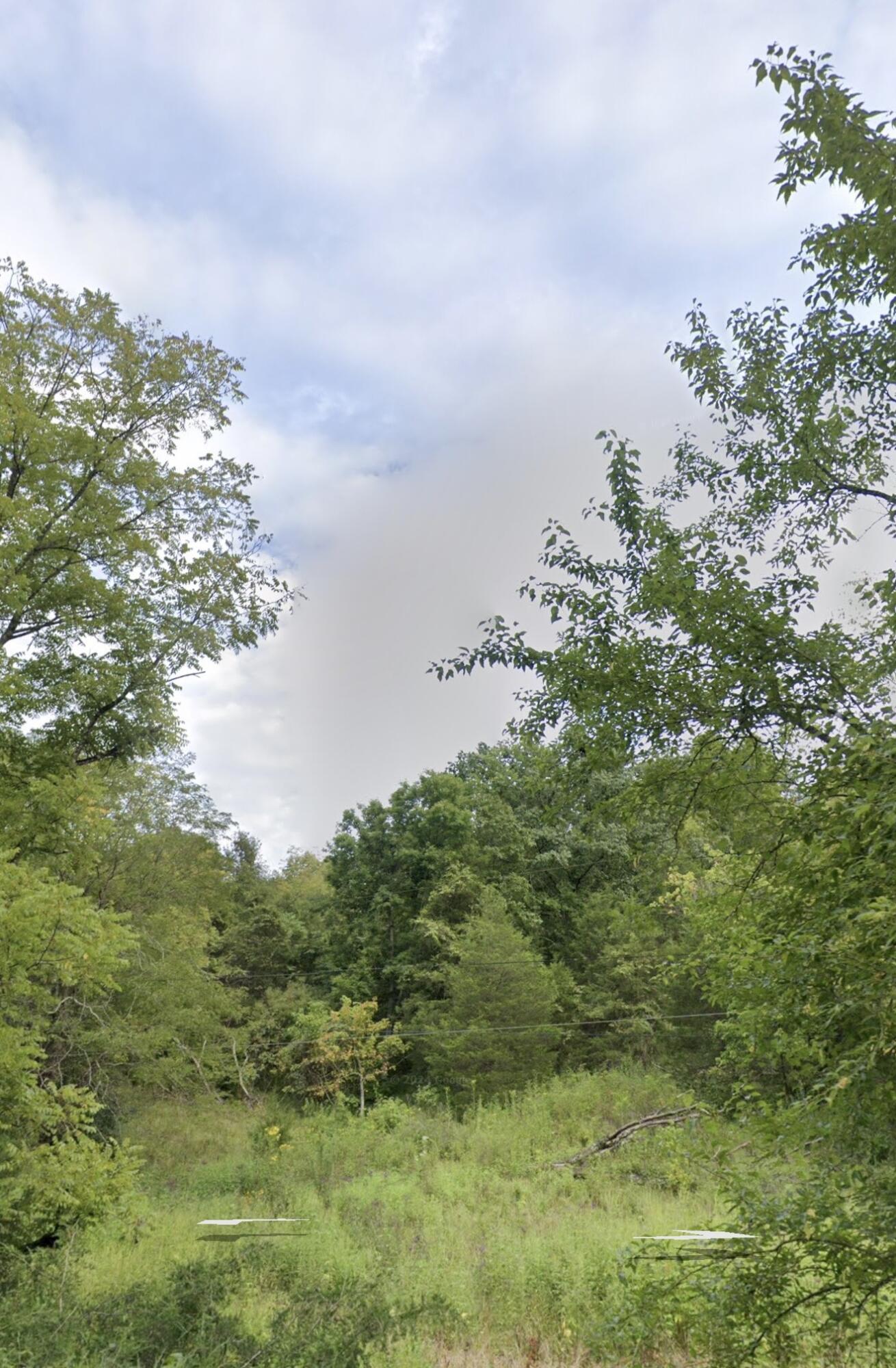 999 Three Lick Road Property Photo 6