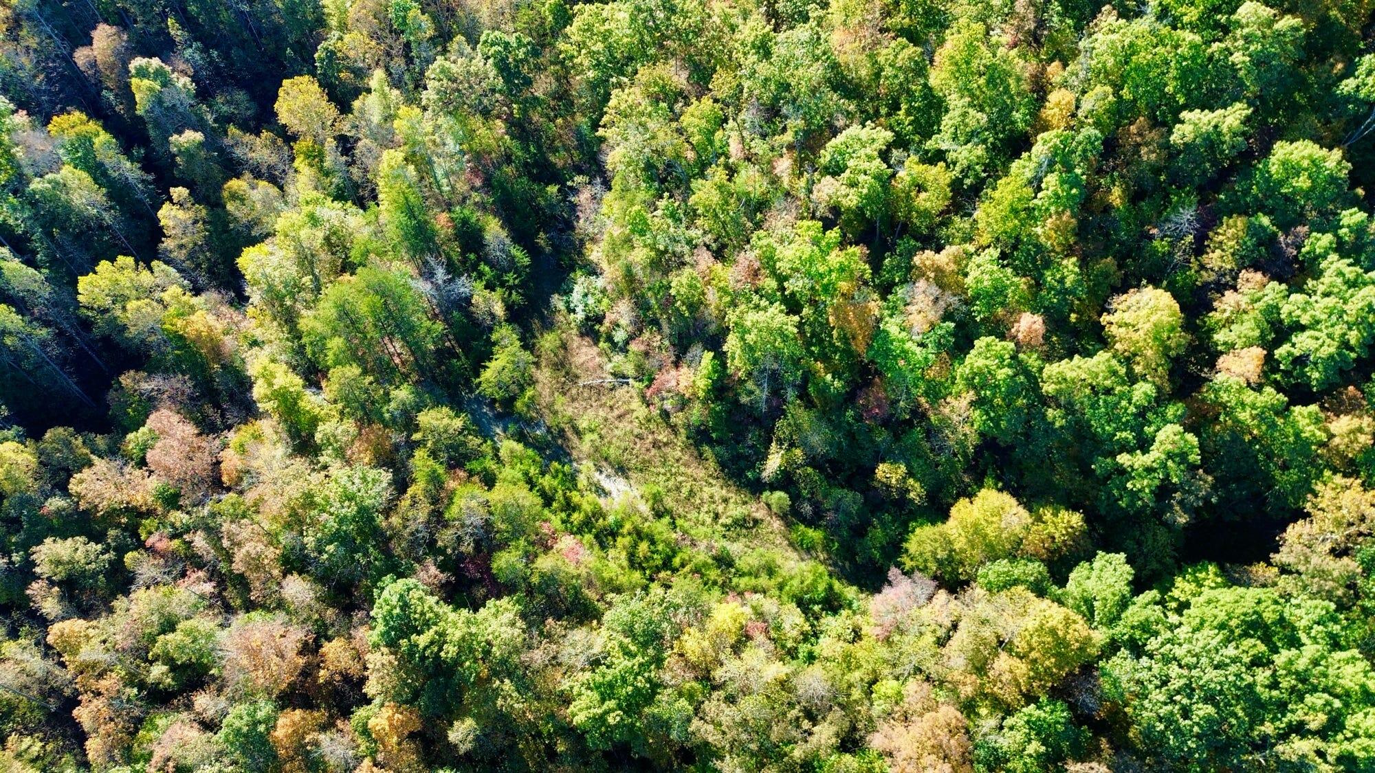 34a Clay Camp Road Property Photo 1