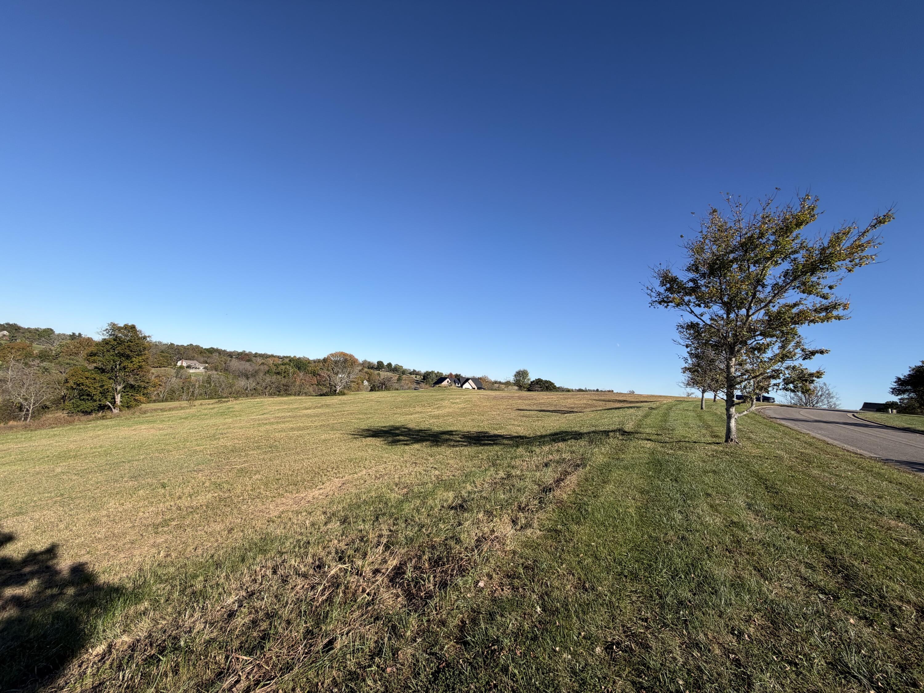 1282 Champion Way Lot 86 Property Photo 2