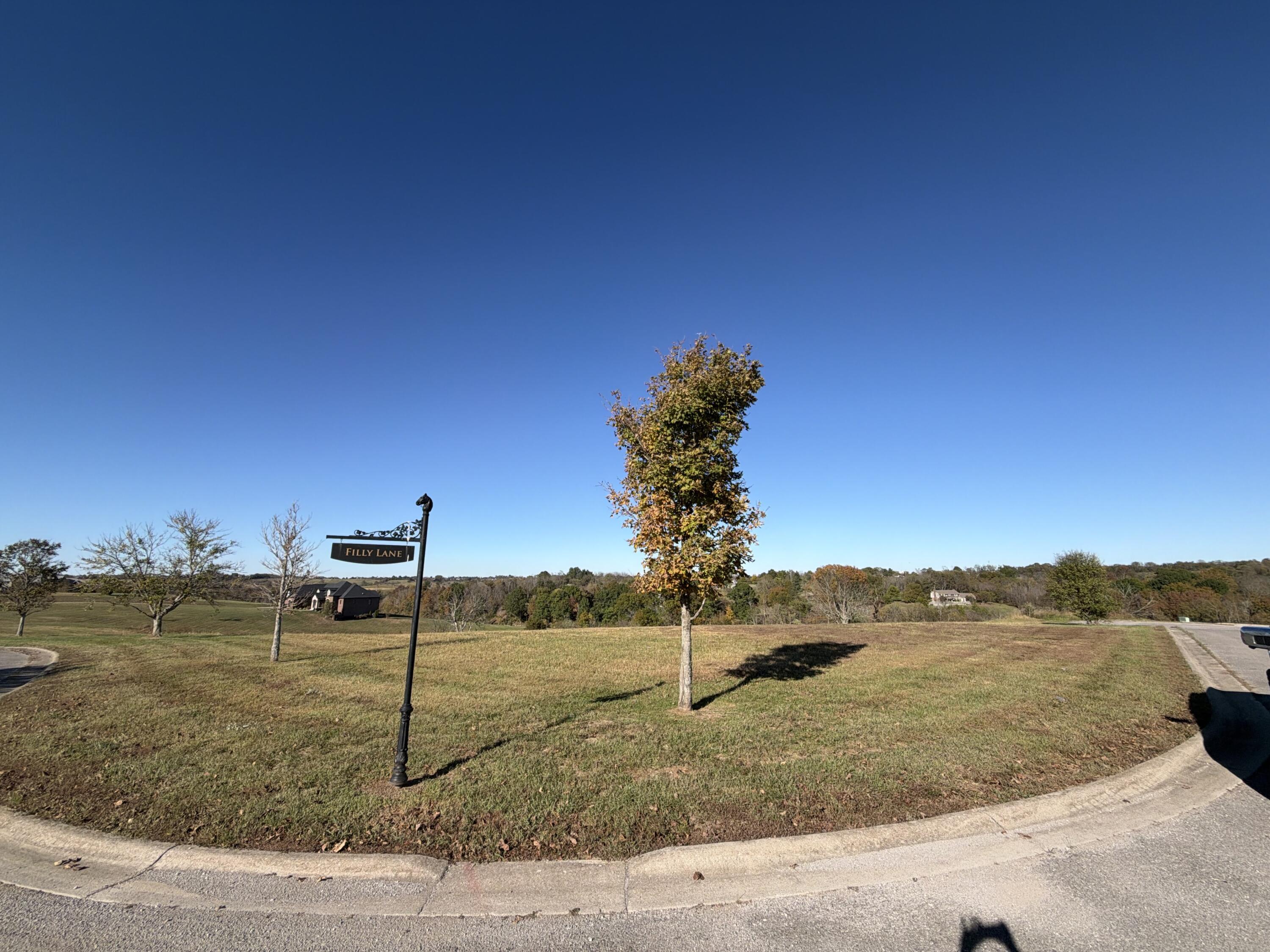 1282 Champion Way Lot 86 Property Photo 3