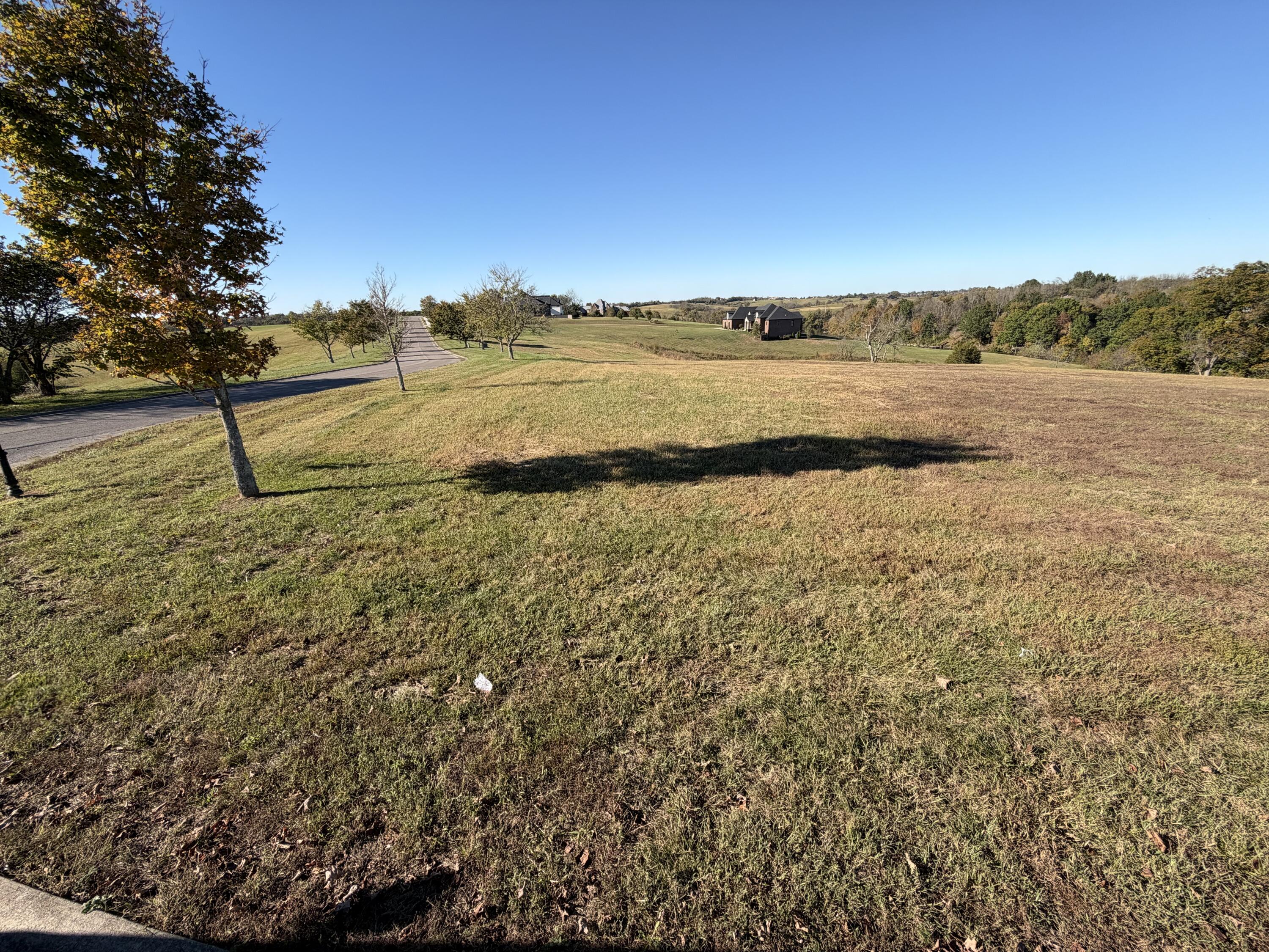1282 Champion Way Lot 86 Property Photo 4