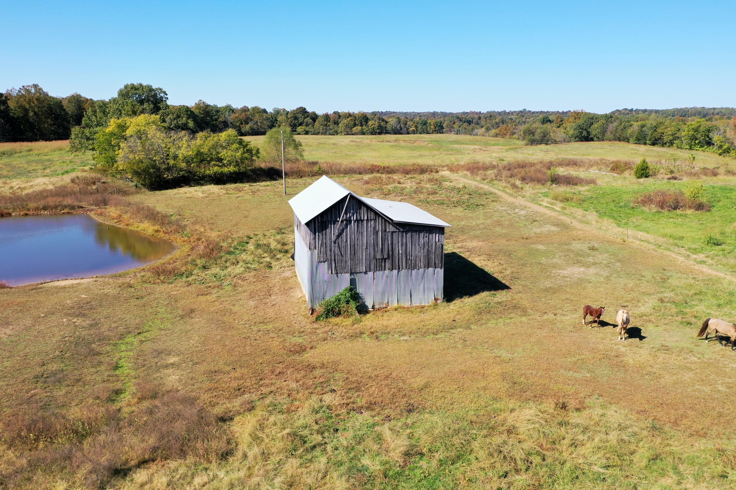 675 Wynn Road Property Photo 13