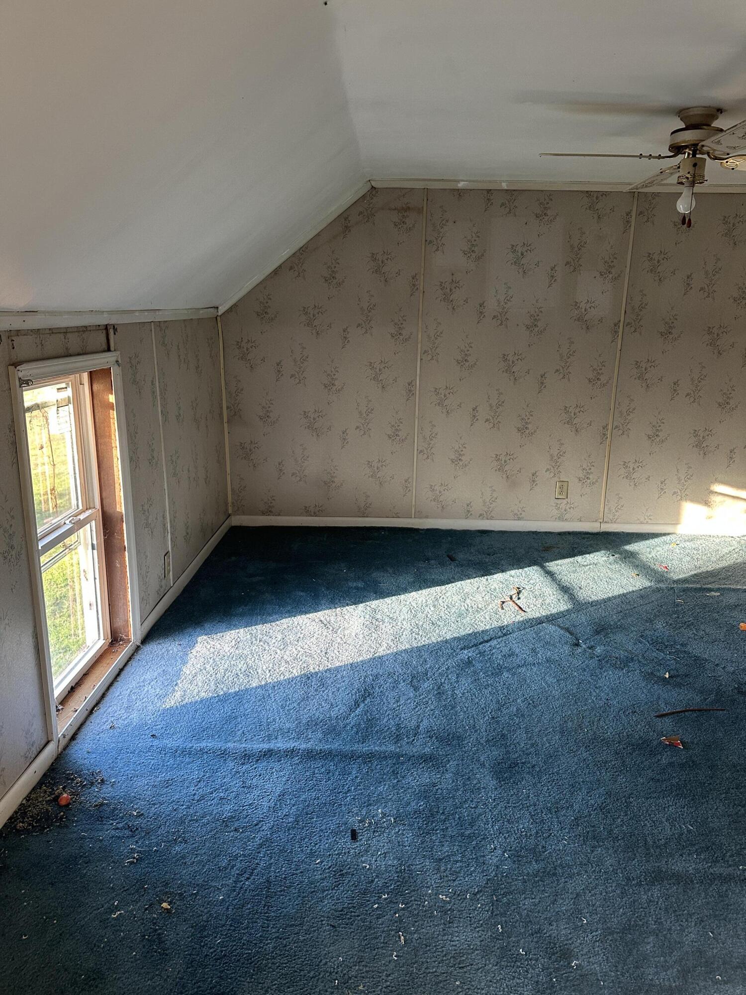 525 Finnell Pike Property Photo 19