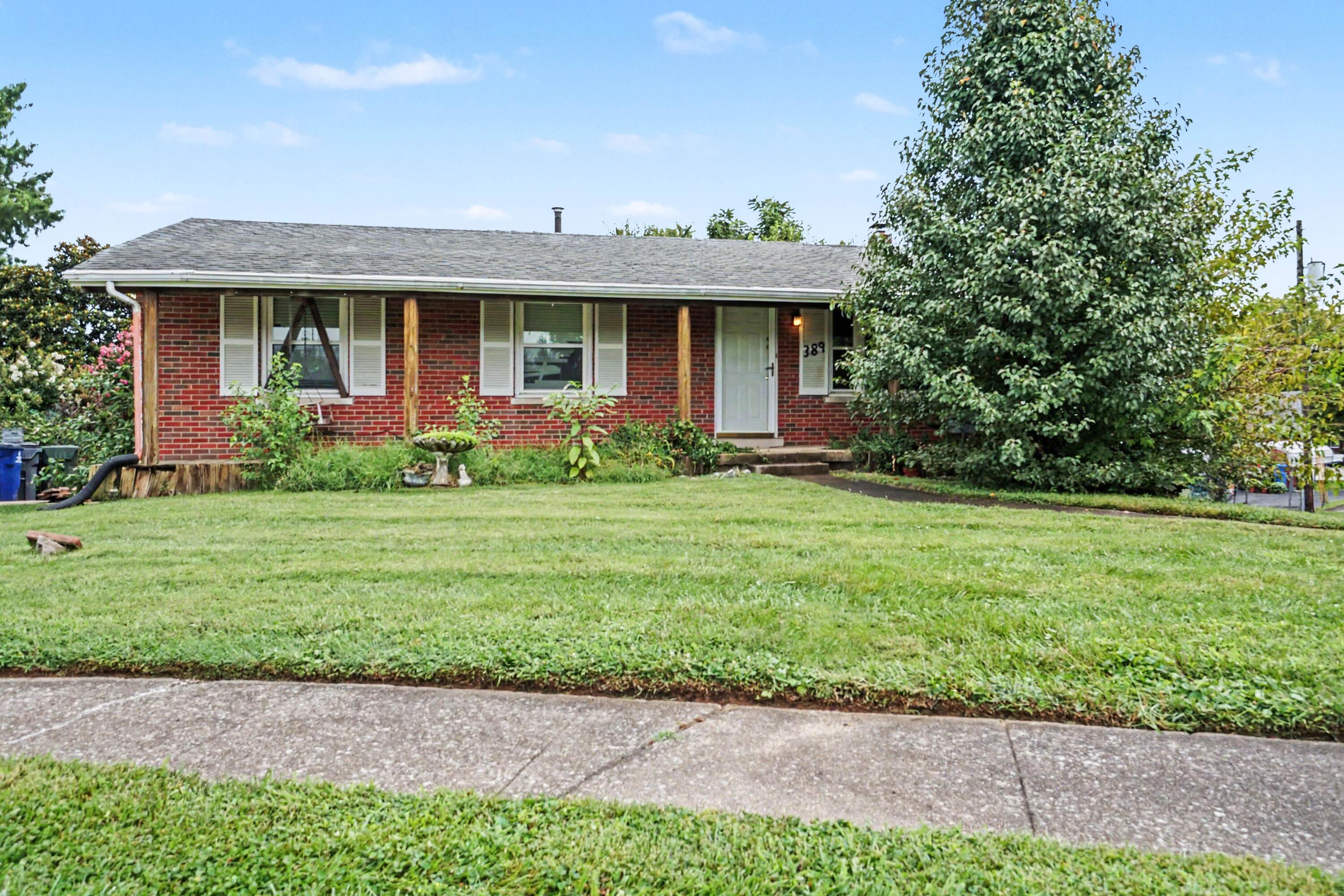 389 Spring Station Court Property Photo 1