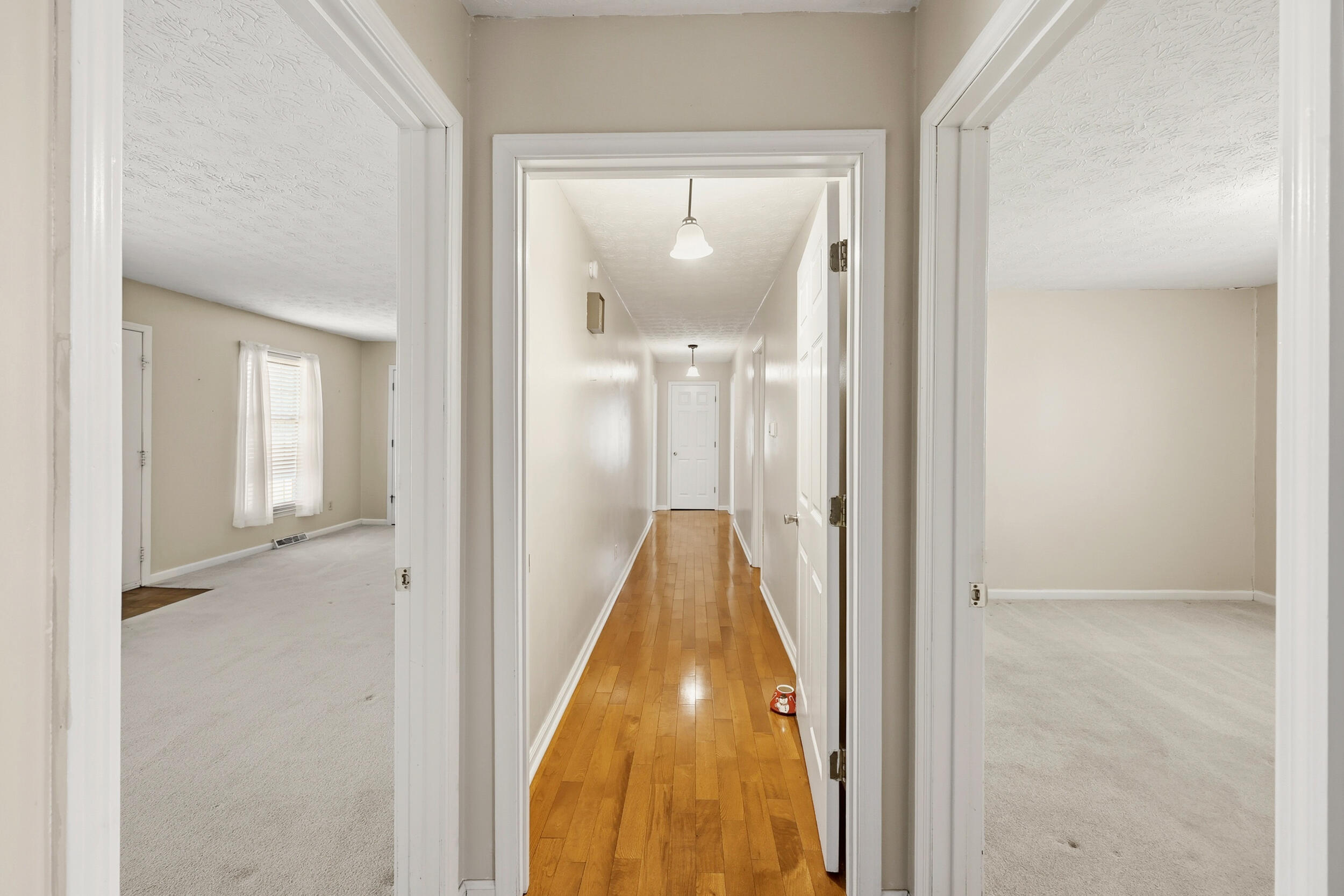 1409 Rebel Road Property Photo 16