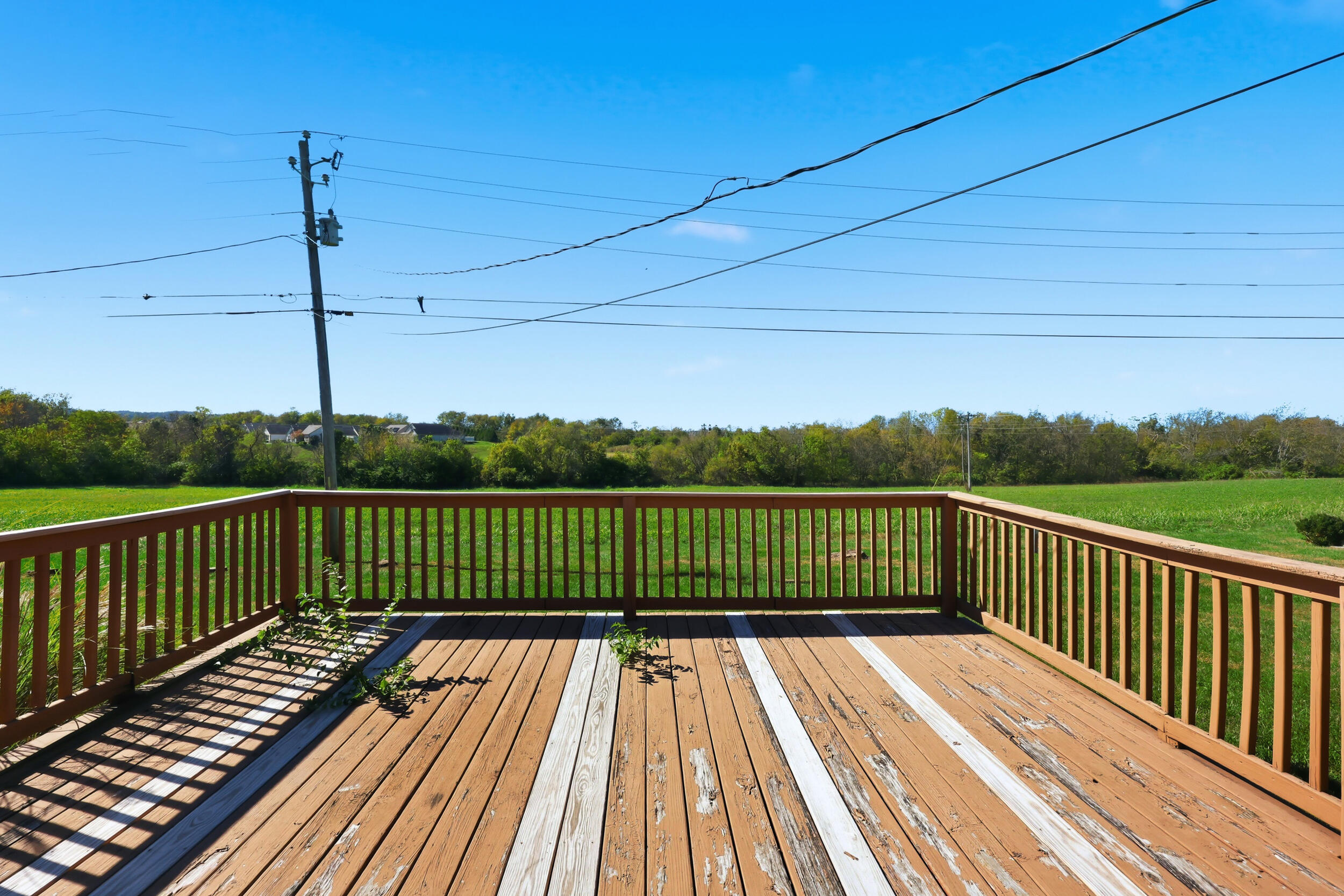 1409 Rebel Road Property Photo 25