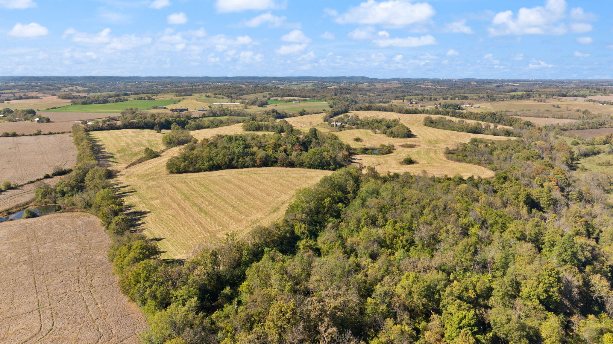 3885 State Highway 78 Property Photo 29