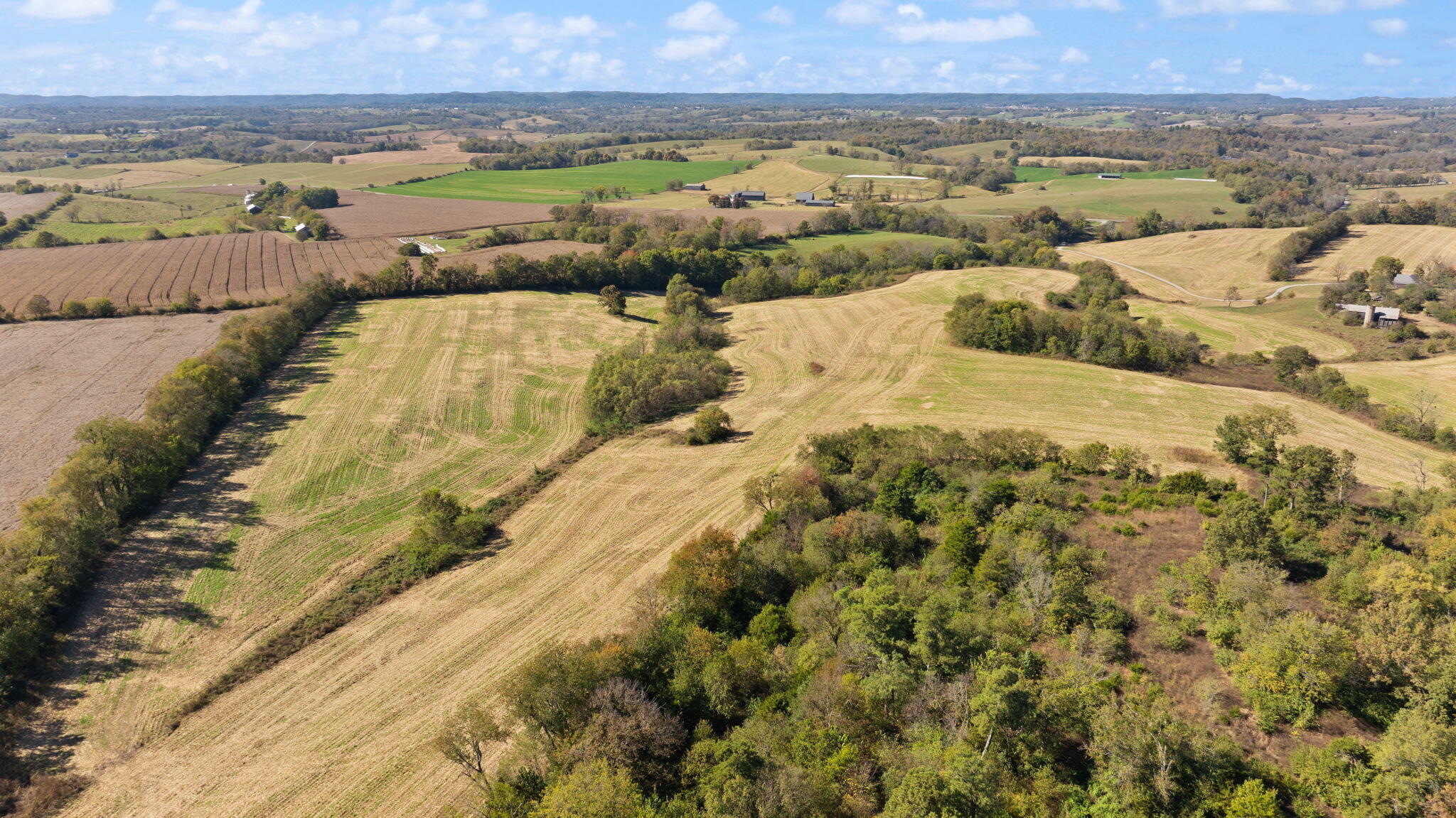 3885 State Highway 78 Property Photo 30