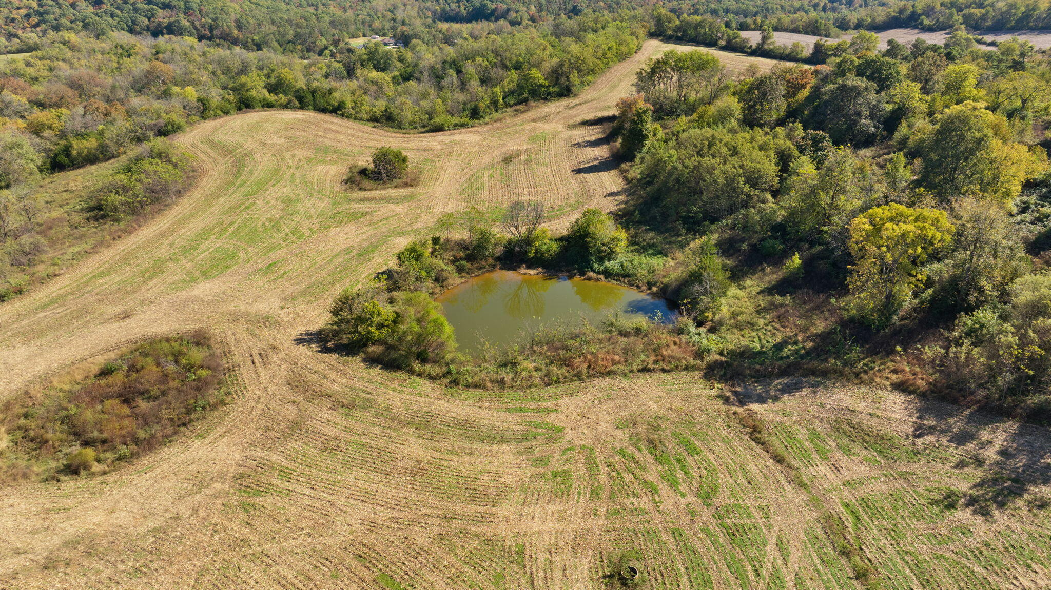 3885 State Highway 78 Property Photo 31