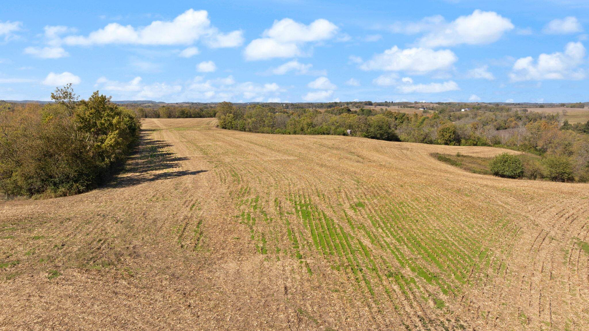 3885 State Highway 78 Property Photo 33