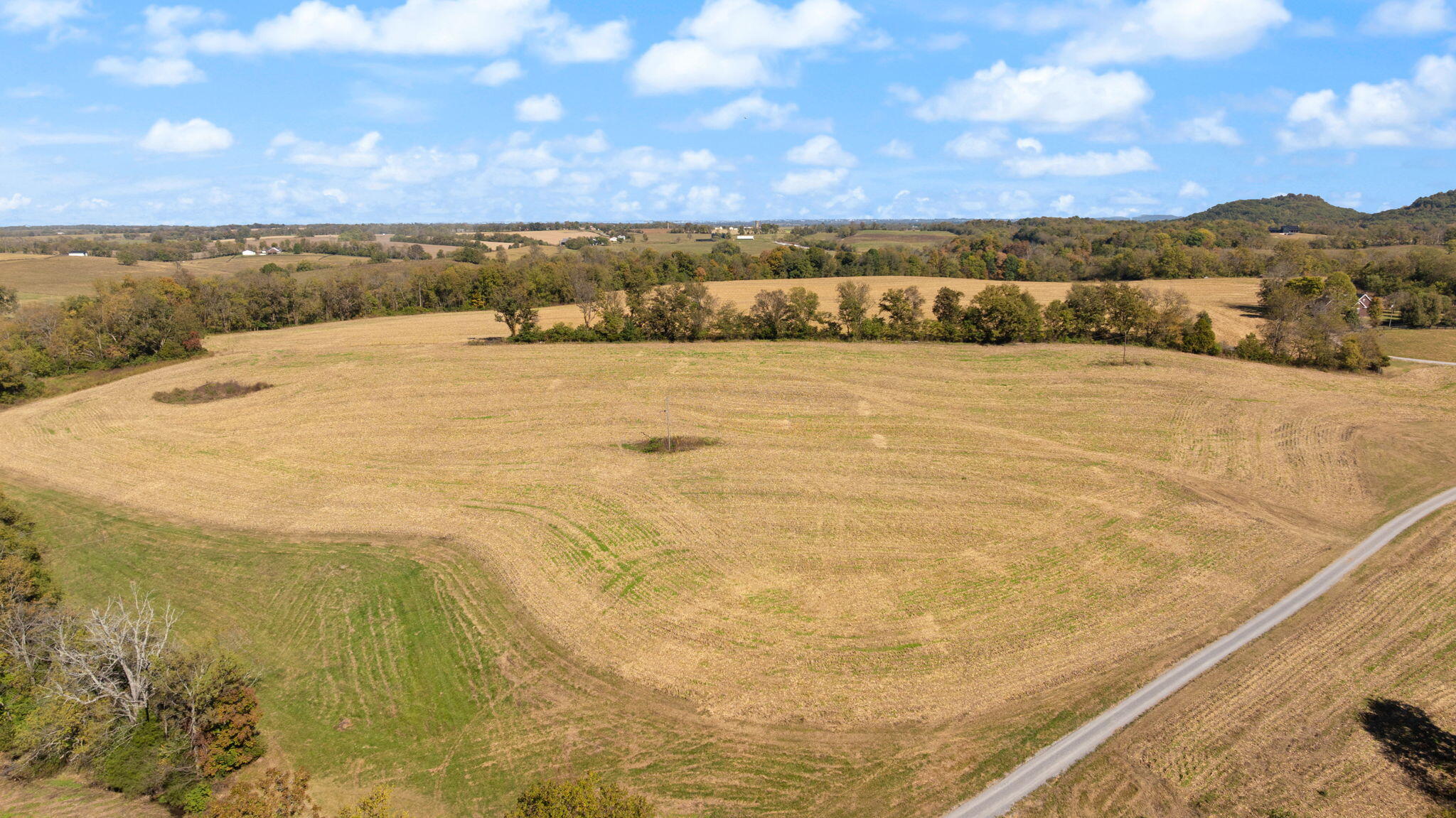 3885 State Highway 78 Property Photo 37