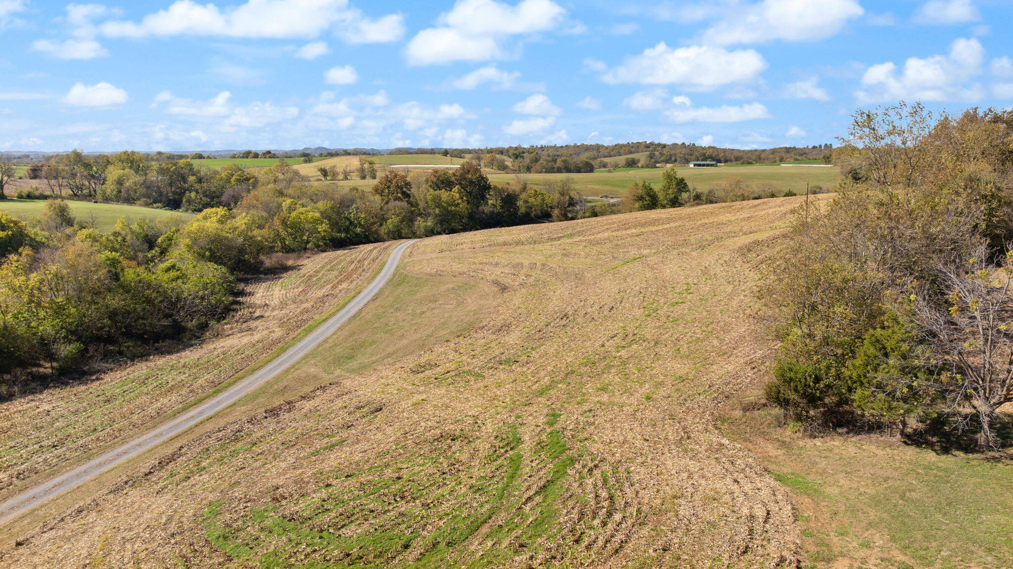 3885 State Highway 78 Property Photo 40