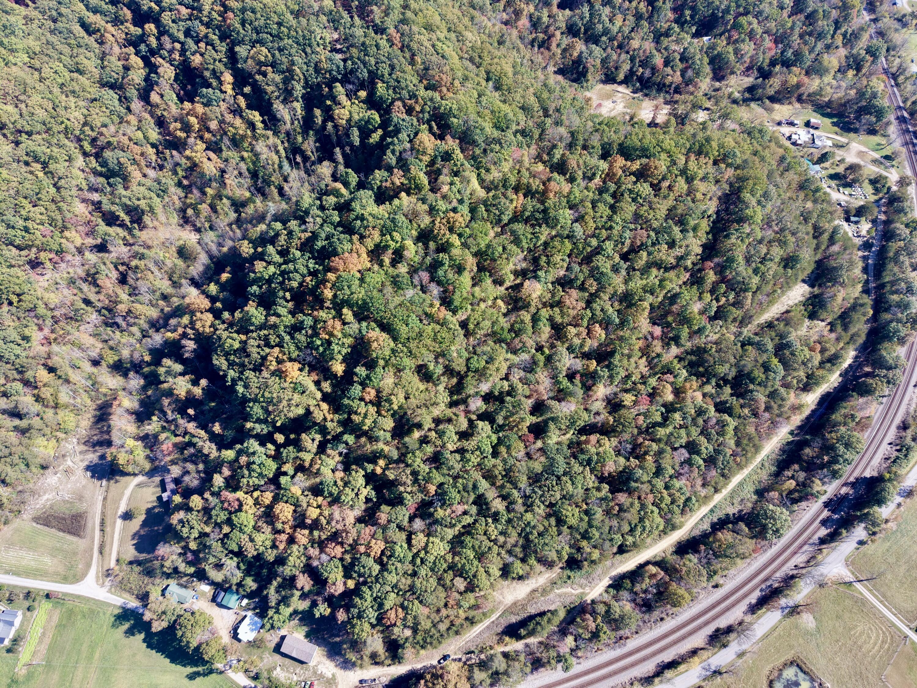 1350 Rube Brown Road Property Photo 1