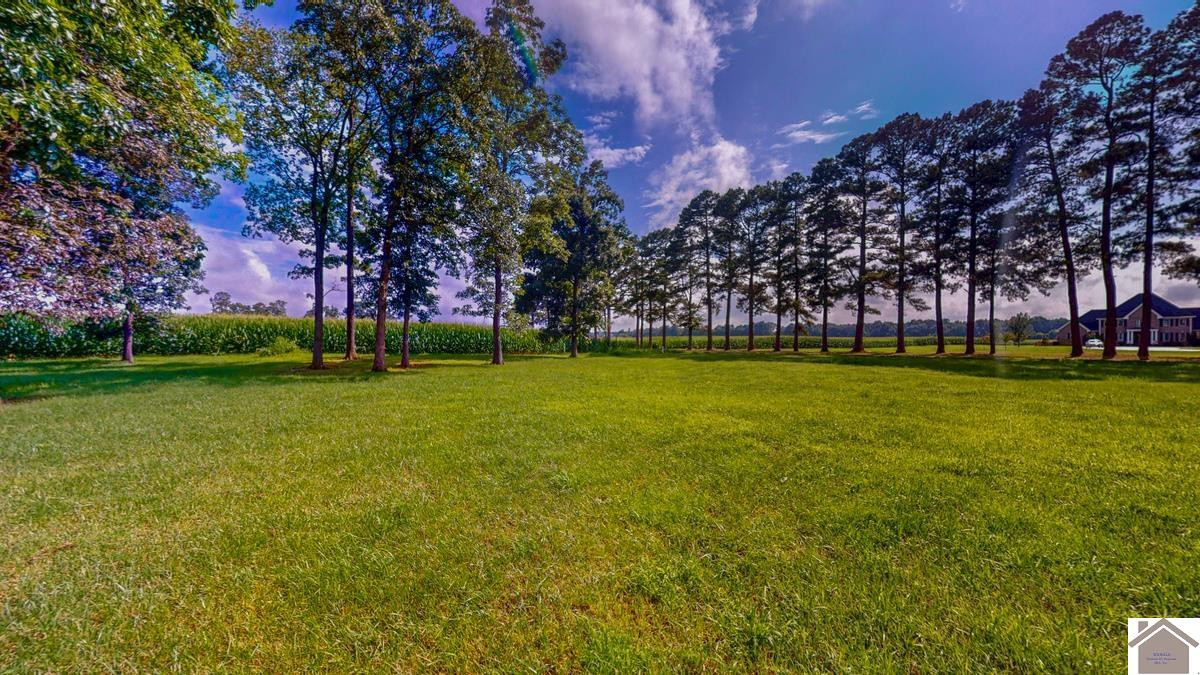 4214 Byars Road Property Photo 10
