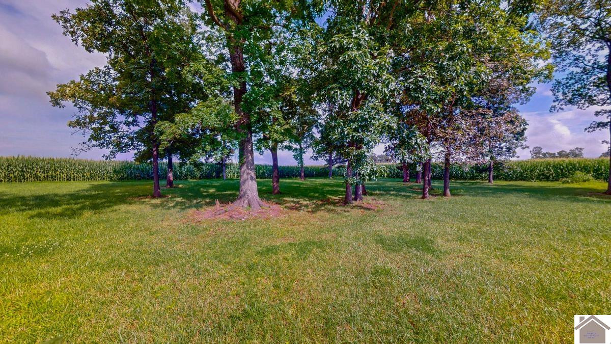 4214 Byars Road Property Photo 11
