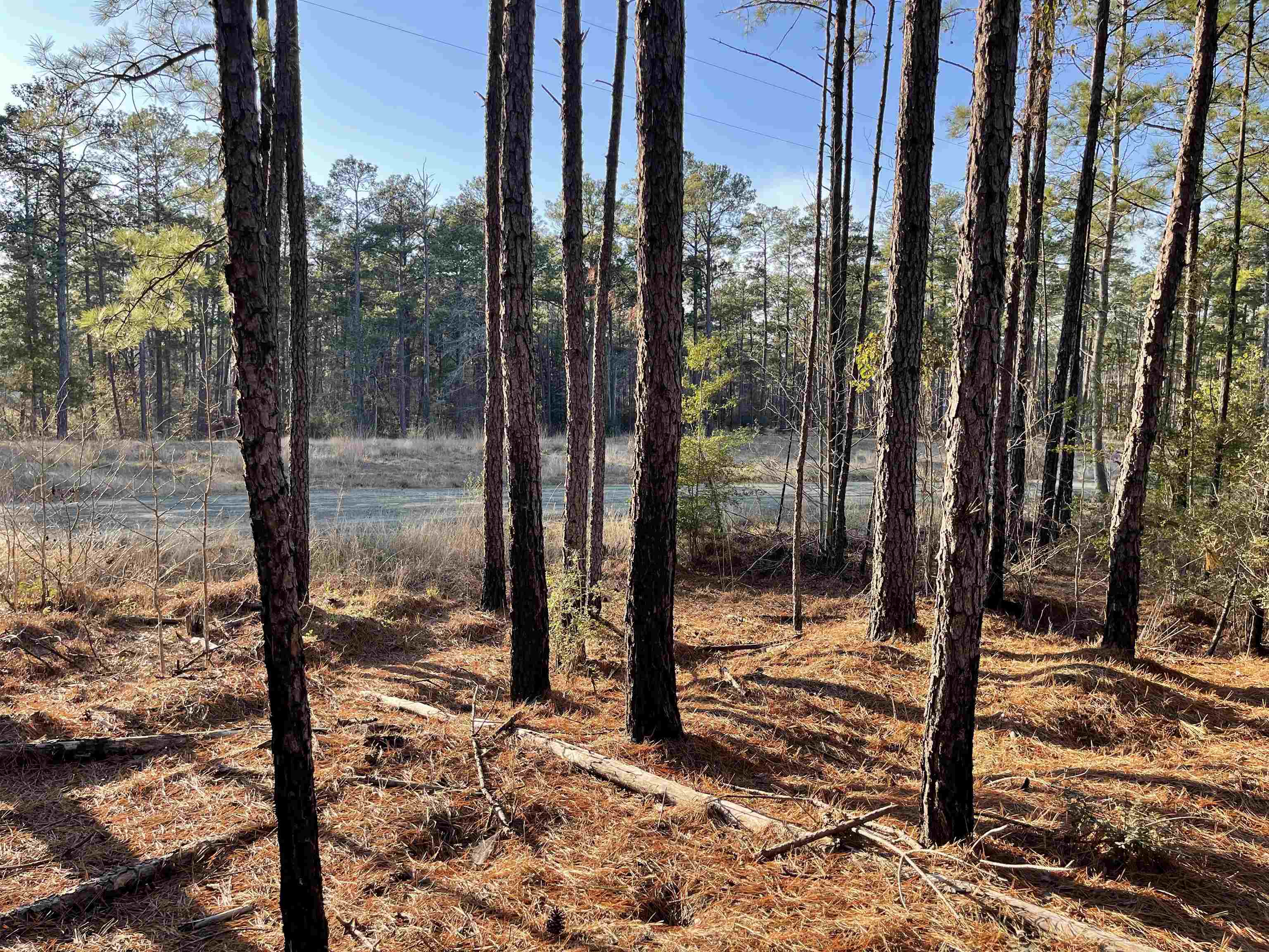 Tract 1-90 Private Road 6028 Property Photo 1