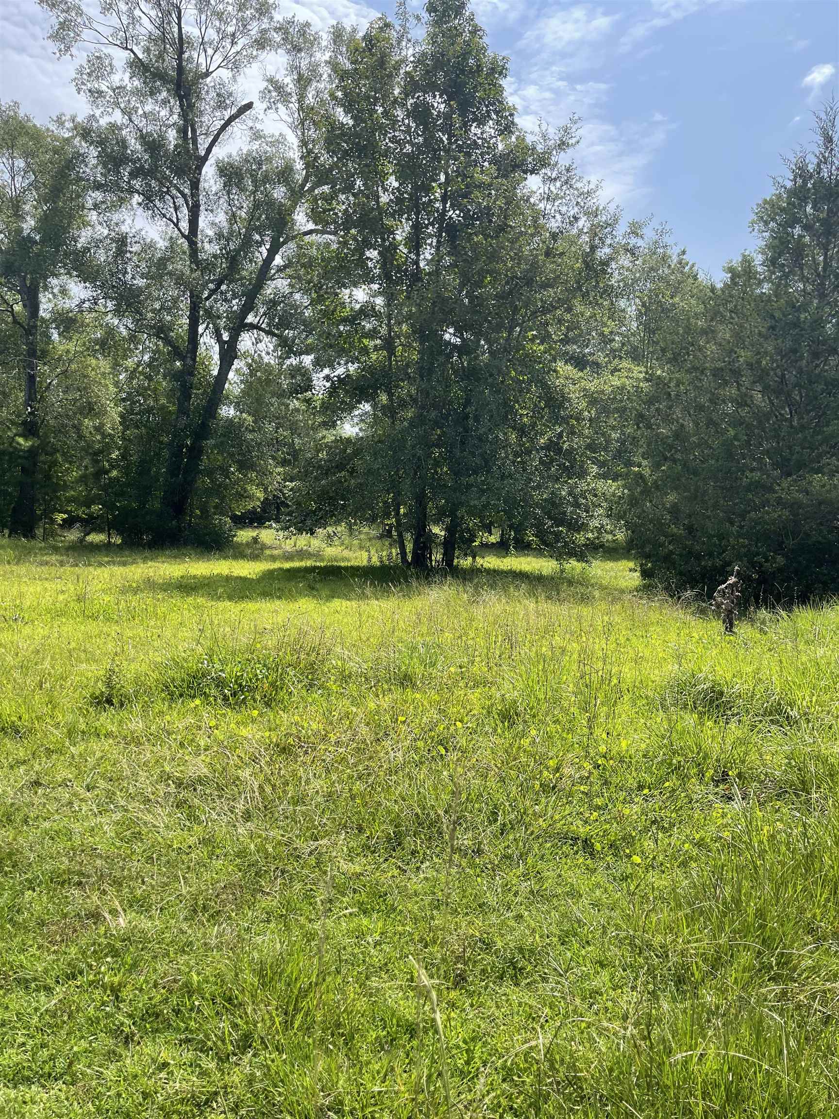 7522 Fm 2246 Property Photo 1
