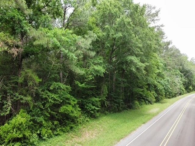 5735 Fm 2798 Property Photo 1